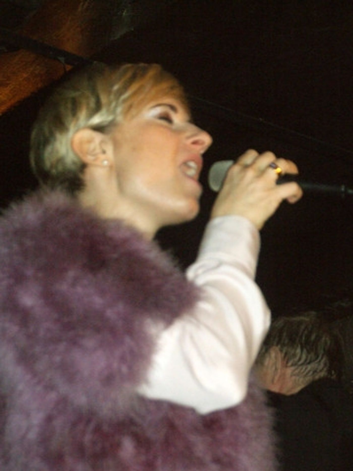 Photo Flash: Adrienne Haan Joins Vince Giordano and the Nighthawks at the Iguana Image