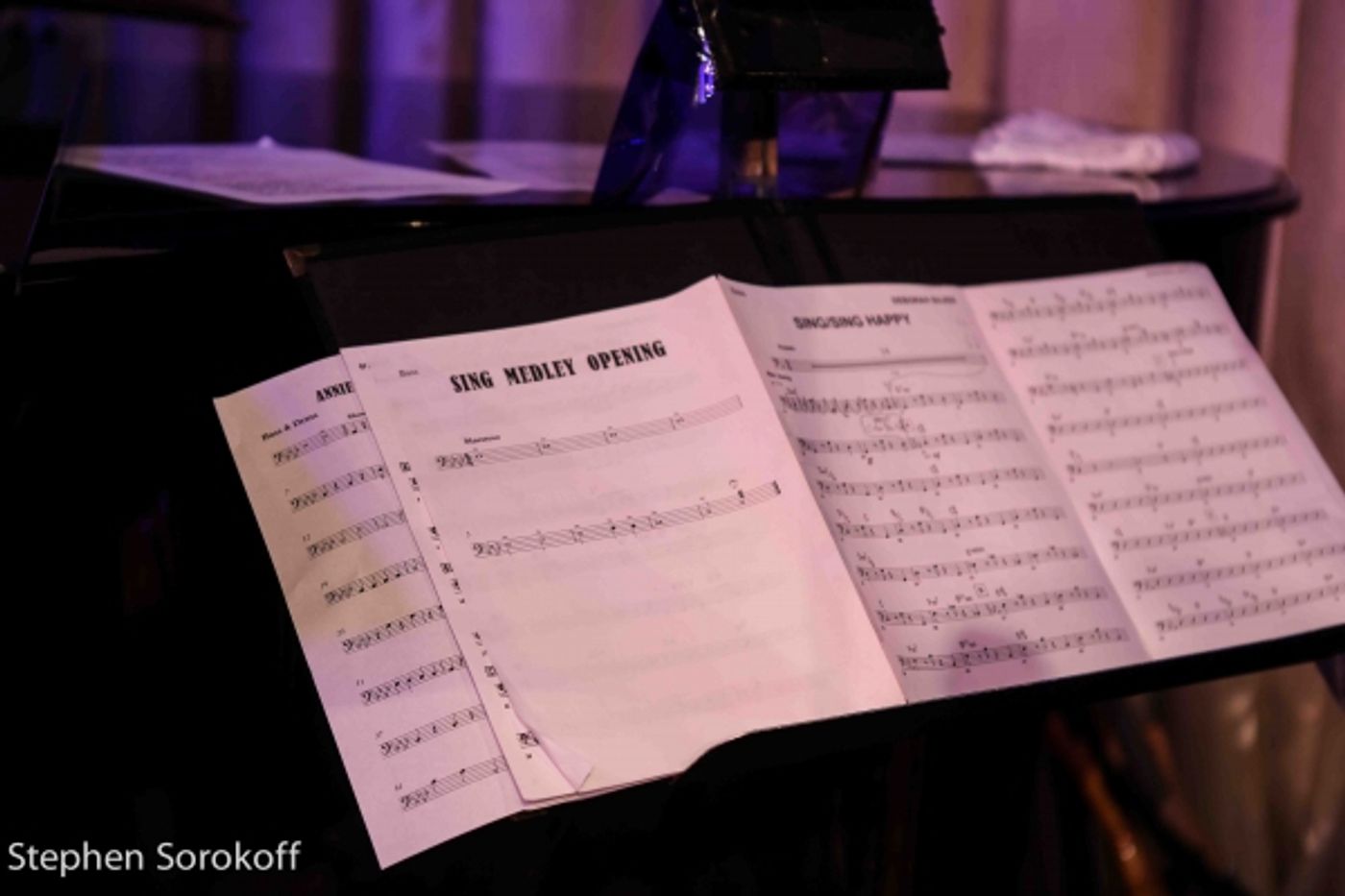 Photo Coverage: A Special Evening of Cabaret with Deborah Silver at The Colony Hotel to Benefit NAMI of Palm Beach County  Image