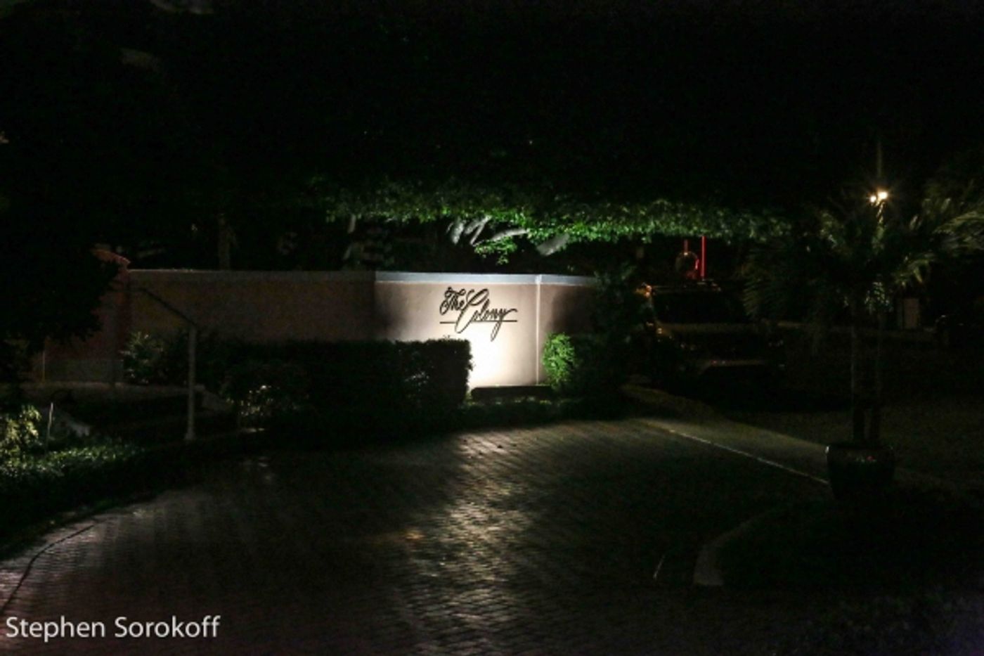 Photo Coverage: A Special Evening of Cabaret with Deborah Silver at The Colony Hotel to Benefit NAMI of Palm Beach County  Image