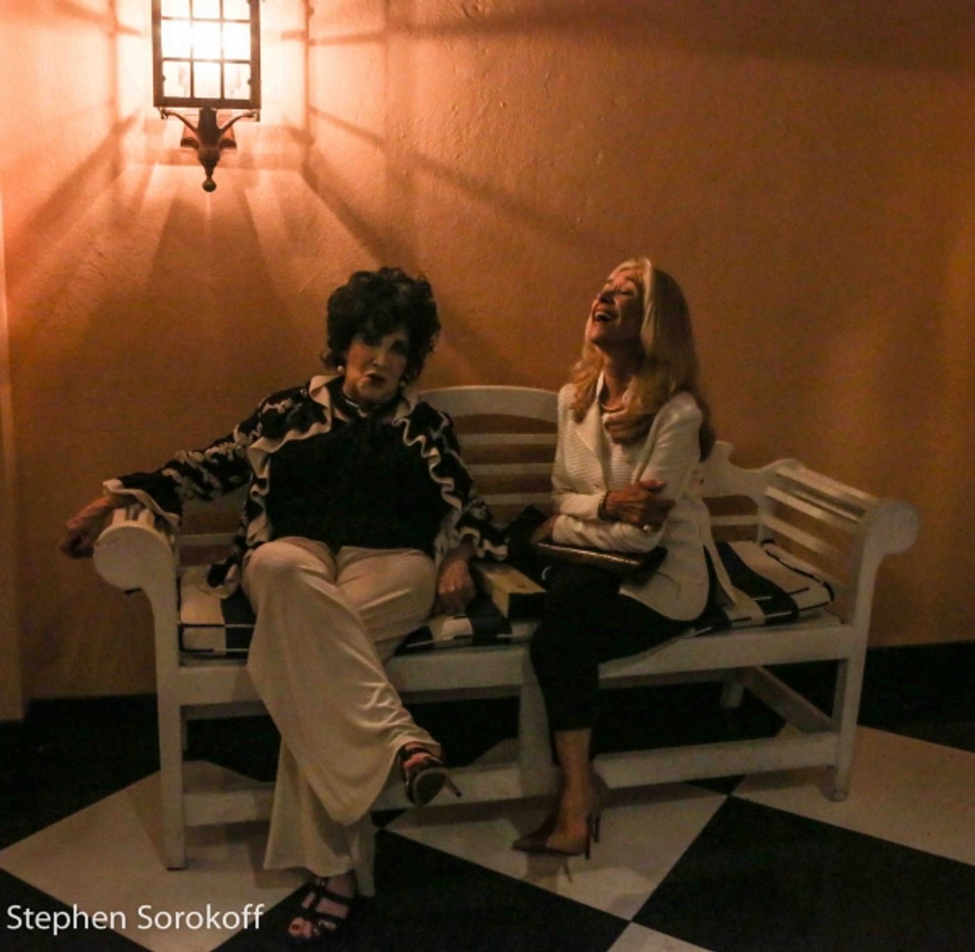 Photo Coverage: A Special Evening of Cabaret with Deborah Silver at The Colony Hotel to Benefit NAMI of Palm Beach County  Image