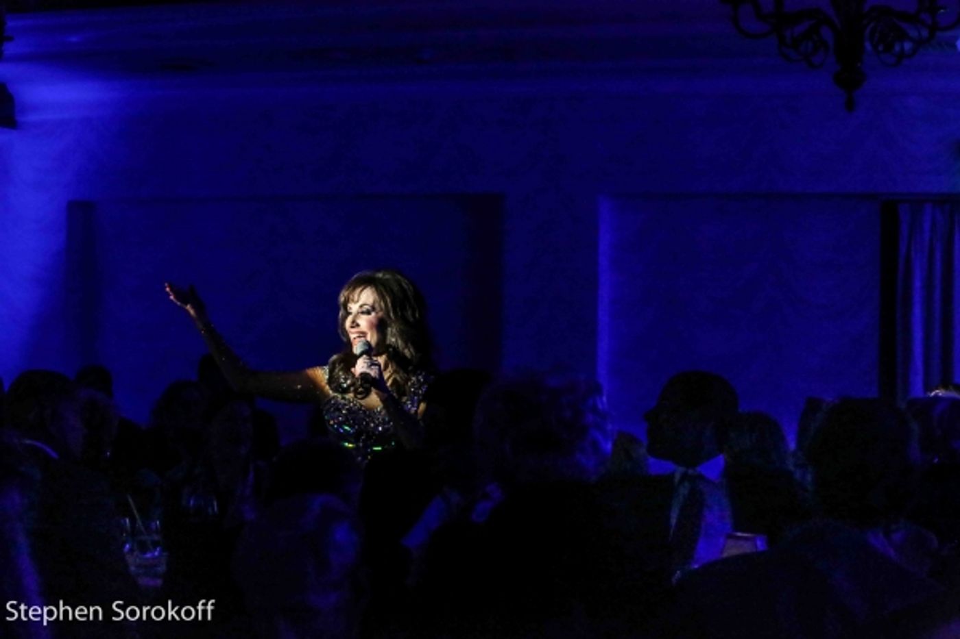 Photo Coverage: A Special Evening of Cabaret with Deborah Silver at The Colony Hotel to Benefit NAMI of Palm Beach County  Image