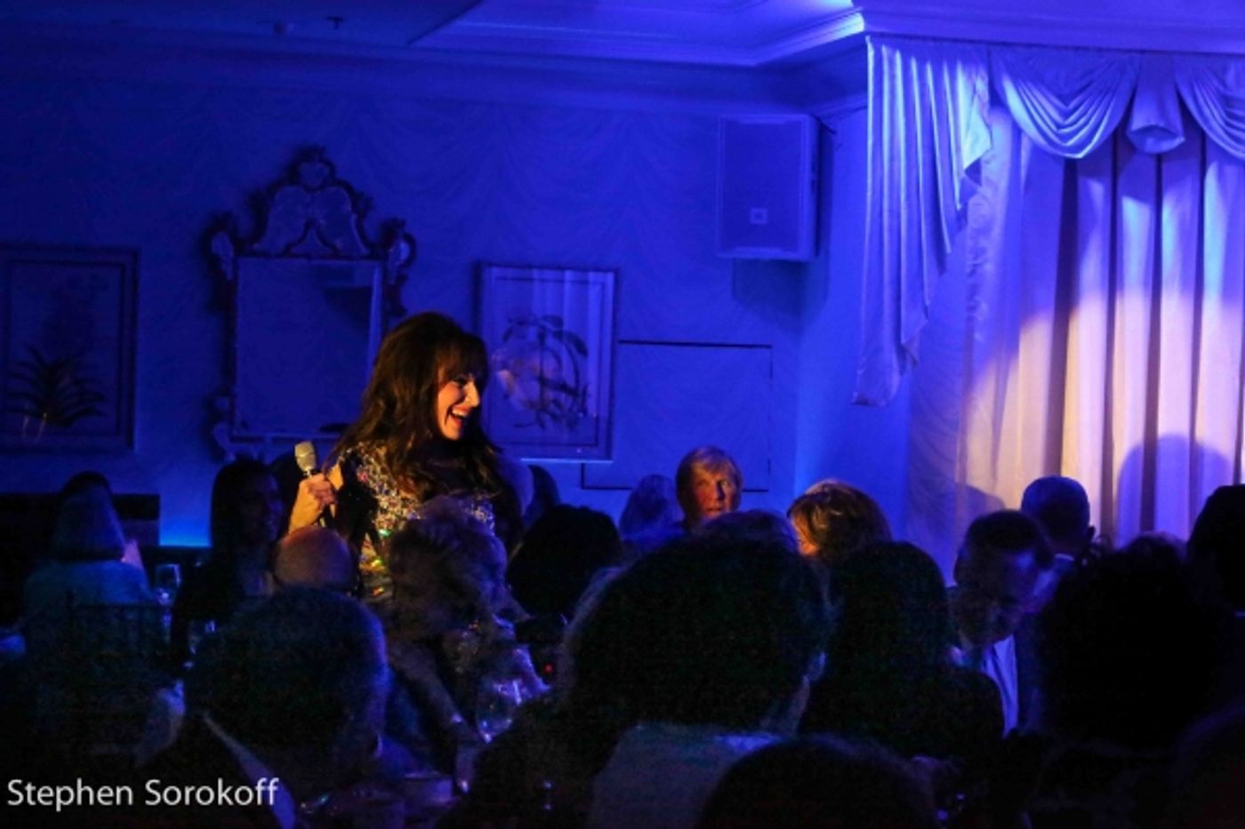 Photo Coverage: A Special Evening of Cabaret with Deborah Silver at The Colony Hotel to Benefit NAMI of Palm Beach County  Image