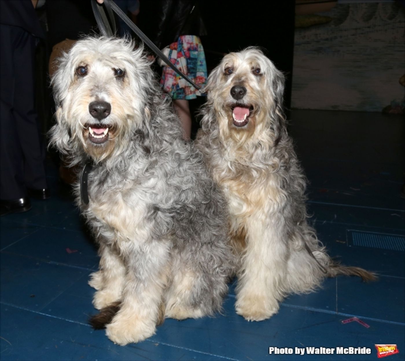 Exclusive Photo Coverage: Inside the FINDING NEVERLAND Gypsy Robe Ceremony! Image