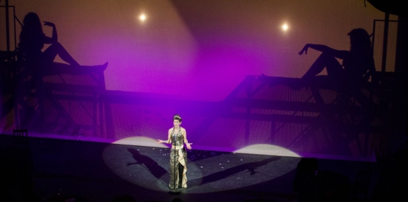 Photo Flash: First Look- FOLLIES at Milburn Stone Theatre  Image