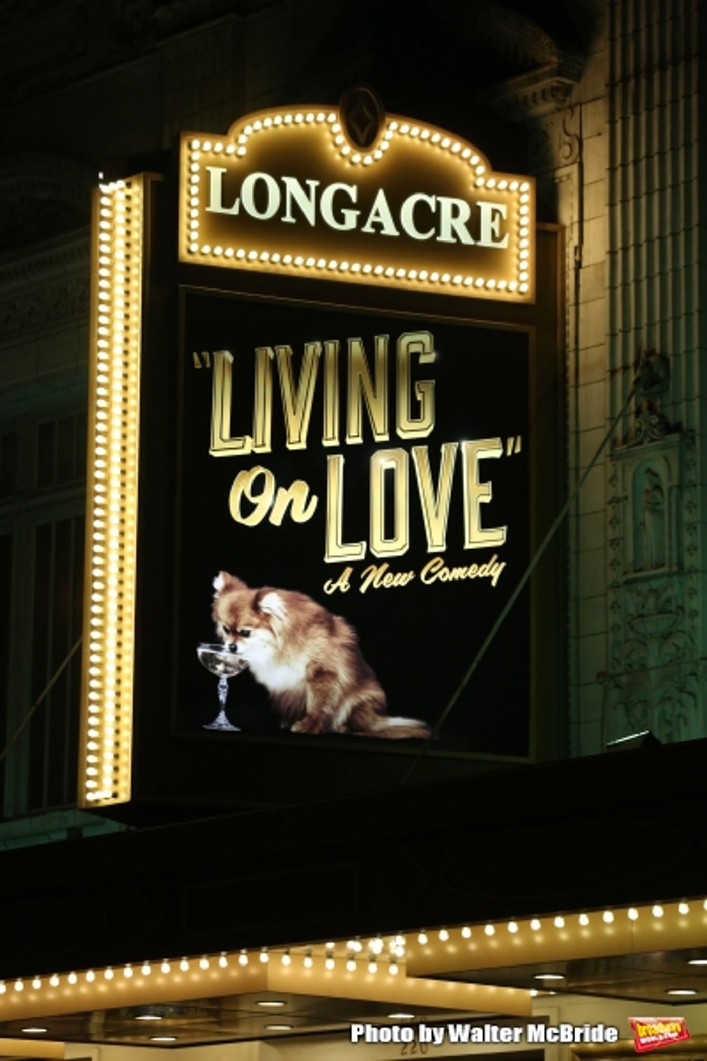 Photo Coverage: La Diva Arrives! LIVING ON LOVE Takes Opening Night Bows  Image