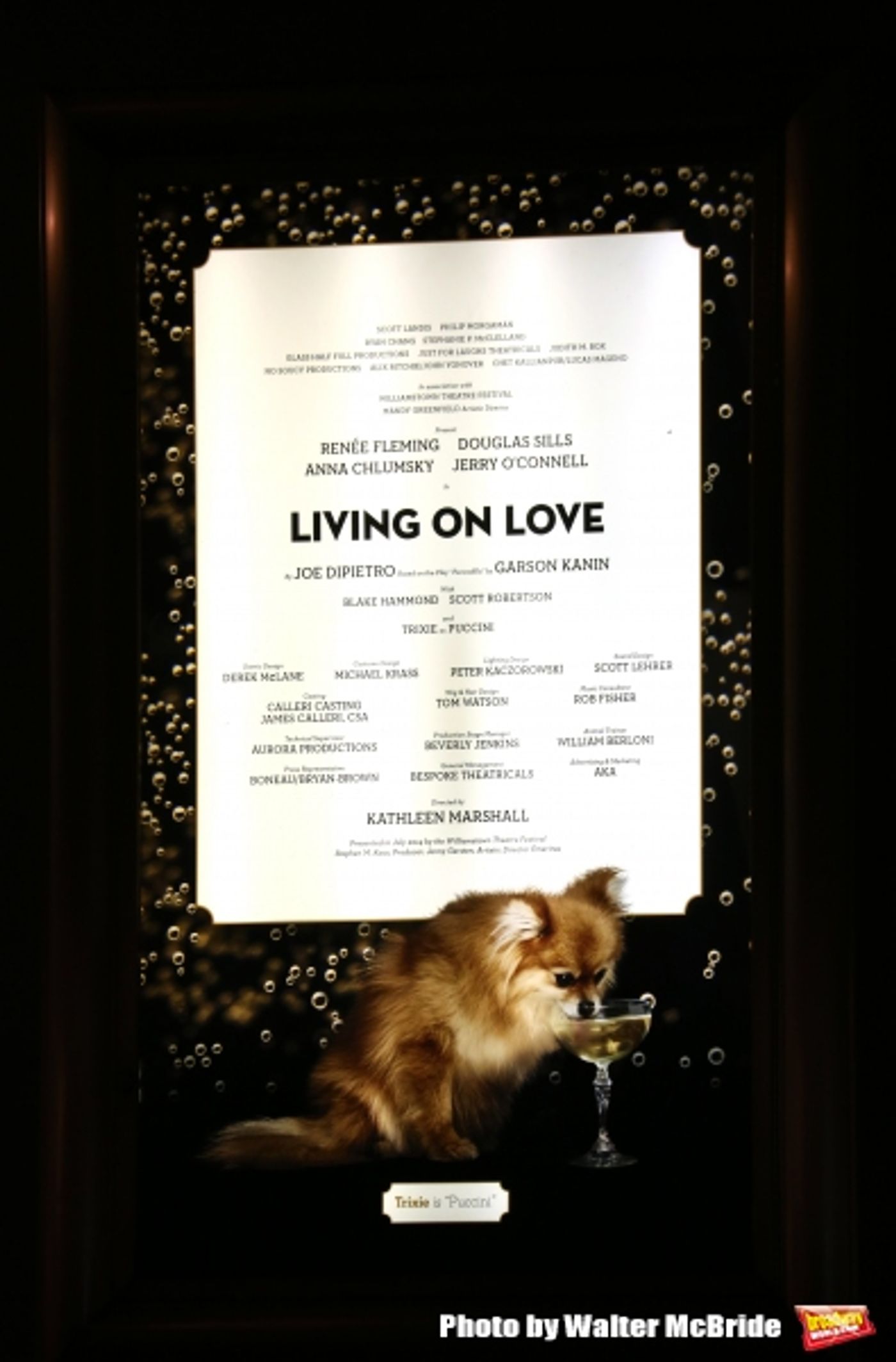 Photo Coverage: La Diva Arrives! LIVING ON LOVE Takes Opening Night Bows  Image