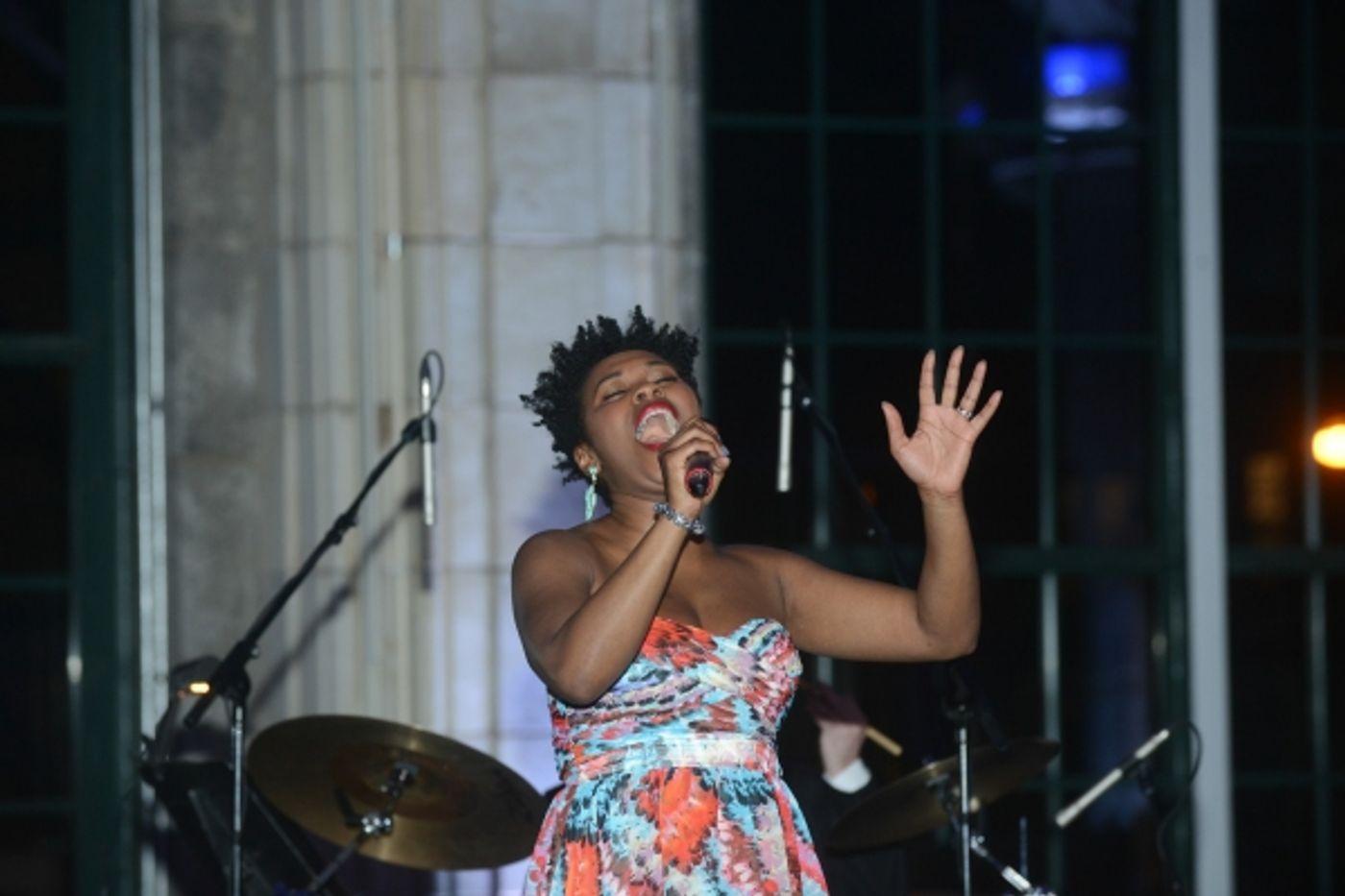 Photo Flash: Take a Look at Star Performances at Marymount Manhattan College's Exclusive Fundraising Gala Image