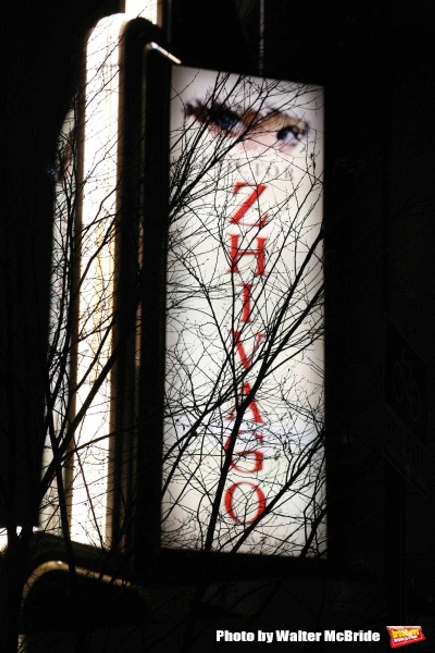 Photo Coverage: DOCTOR ZHIVAGO Company Takes Opening Night Bows! Photo Coverage: DOCTOR ZHIVAGO Company Takes Opening Night Bows! Image