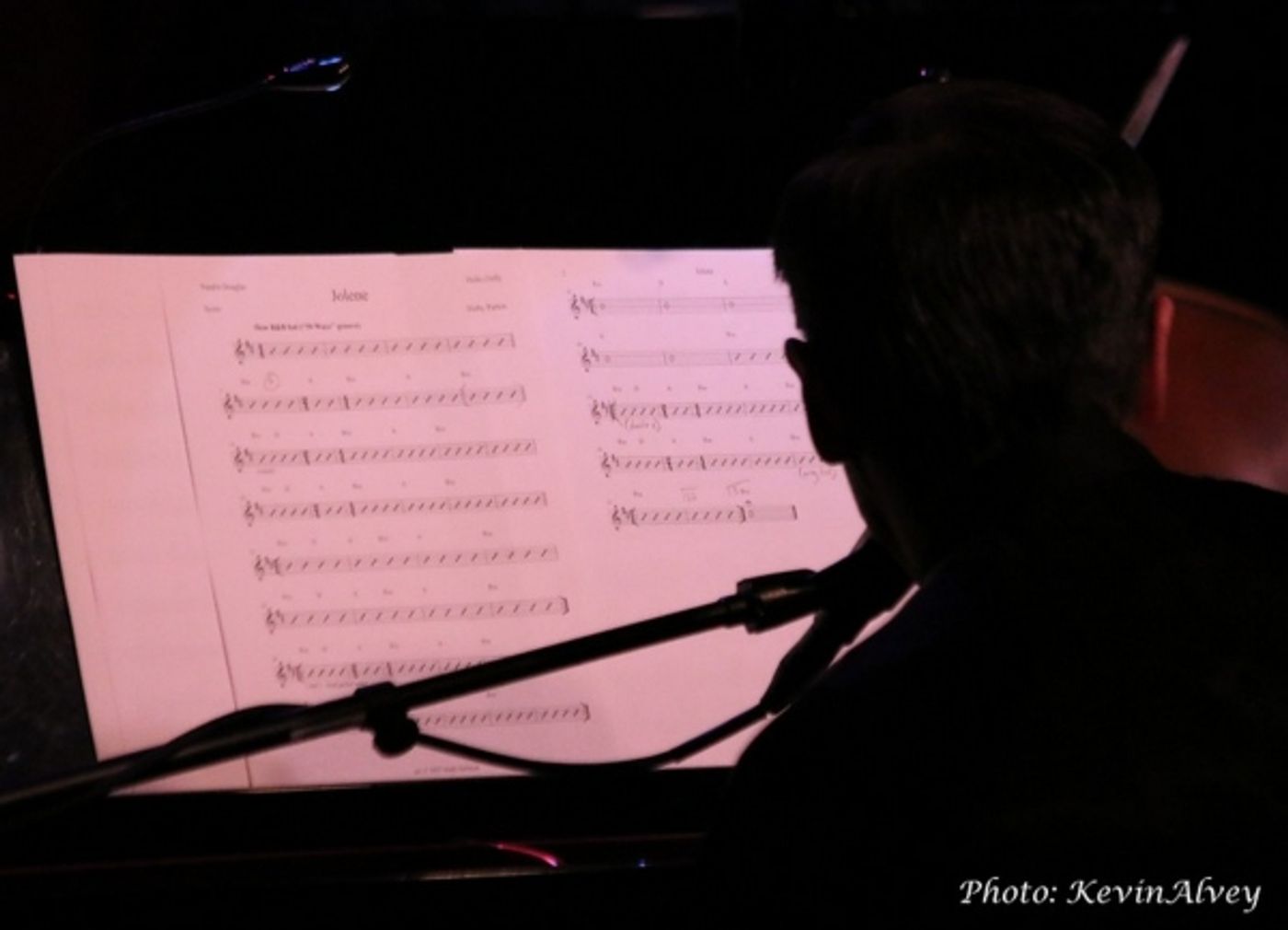 Photo Flash: Natalie Douglas Performs 'The Music of Dolly Parton' at Birdland  Image