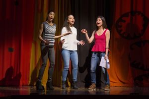 Renee Elise Goldsberry, Jasmine Cephas Jones and Phillipa Soo. Photo Credit: Monica S Photo
