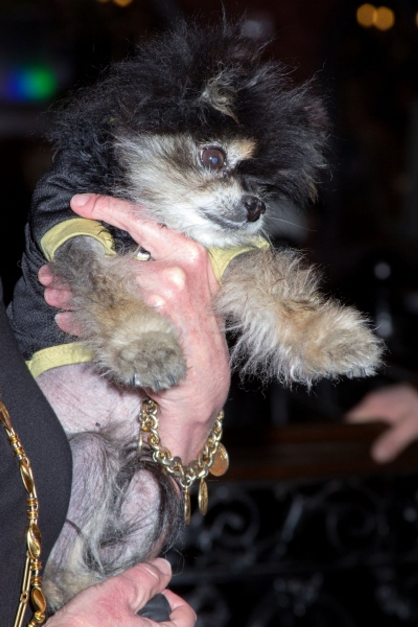 Photo Coverage: AIRLINE HIGHWAY Cast Parades to the Samuel J. Friedman Theatre  Image