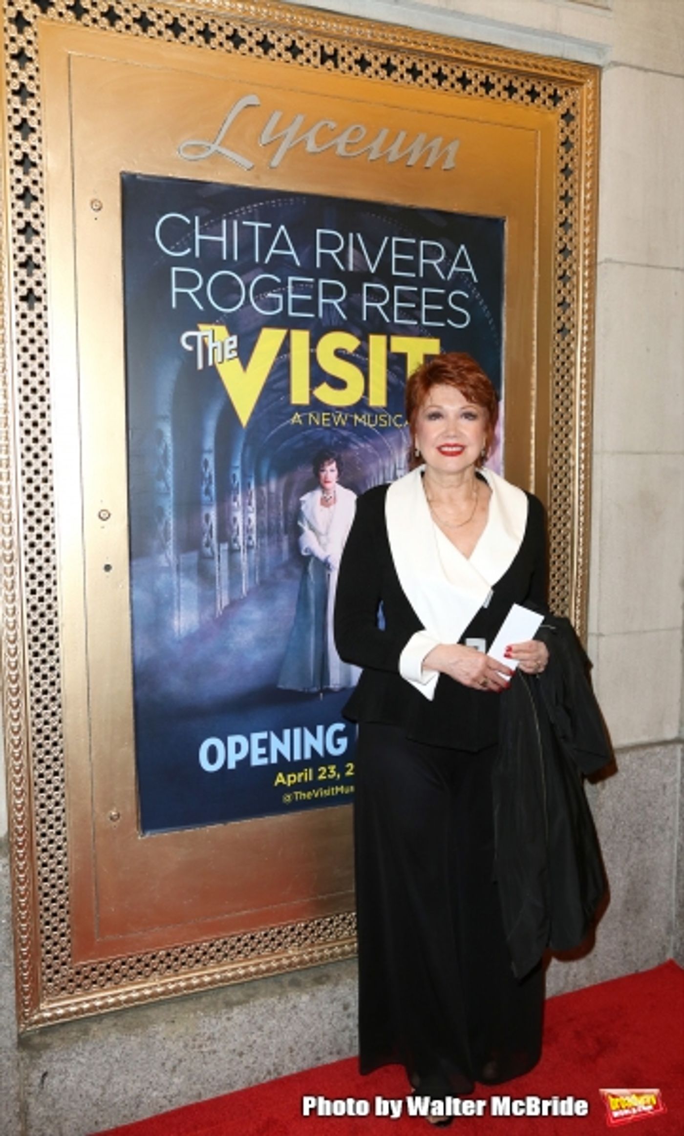 Photo Coverage: Inside THE VISIT's Opening Night Theatre Arrivals  Image