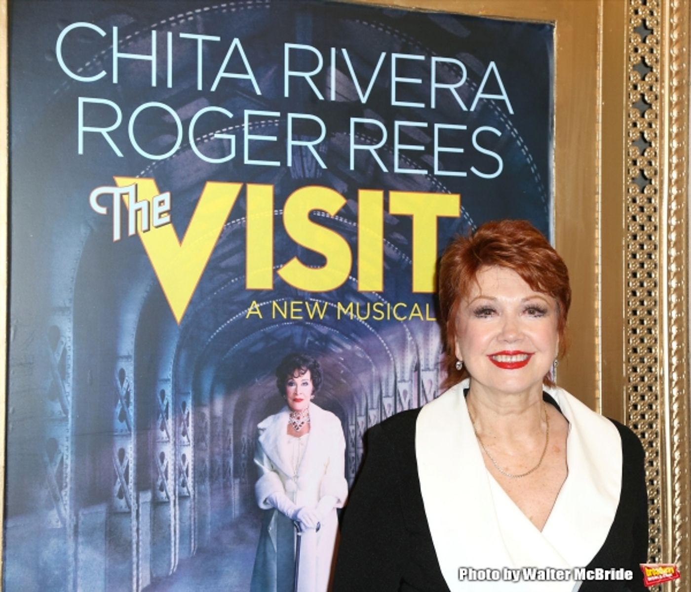 Photo Coverage: Inside THE VISIT's Opening Night Theatre Arrivals  Image