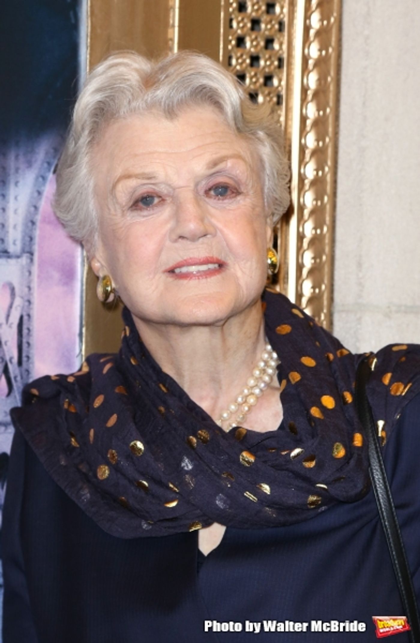 Photo Coverage: Inside THE VISIT's Opening Night Theatre Arrivals  Image