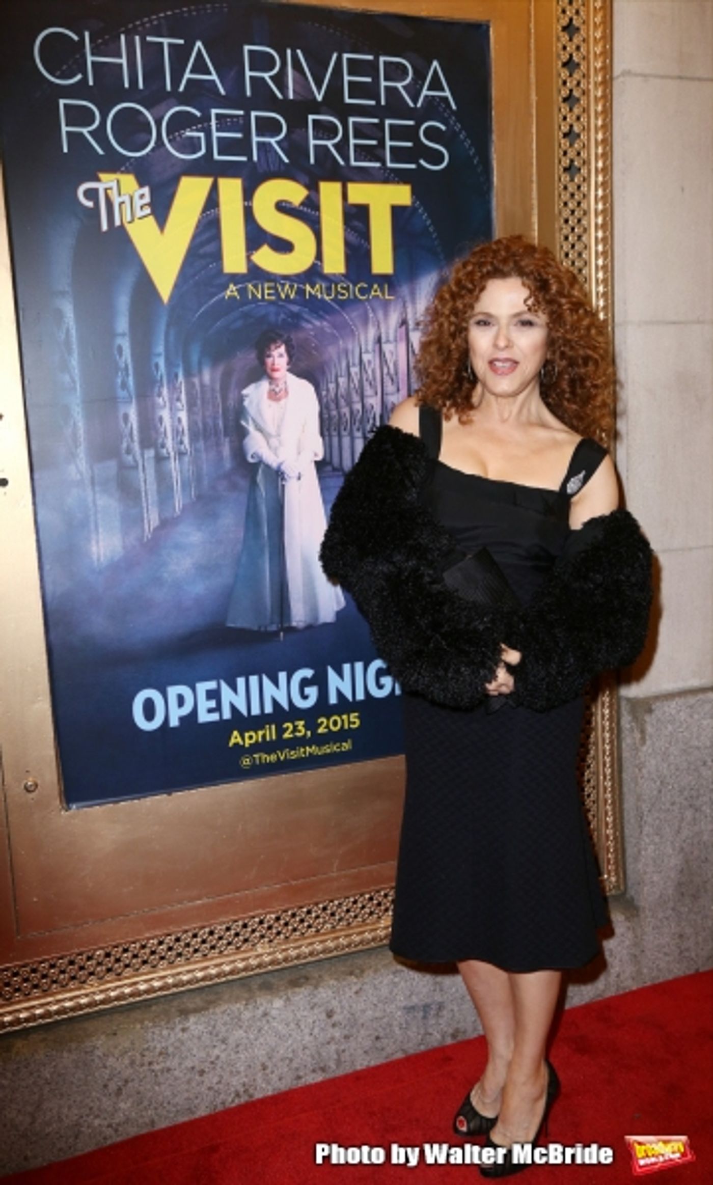 Photo Coverage: Inside THE VISIT's Opening Night Theatre Arrivals  Image