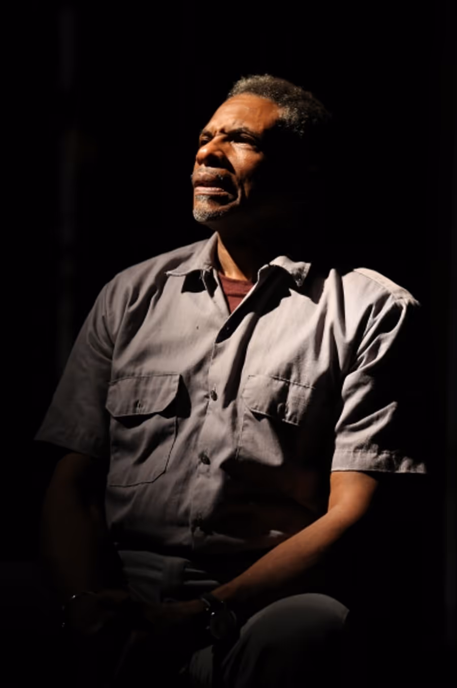 Photo Flash: First Look at Keith David and More in TOAST at The Public Theater Image
