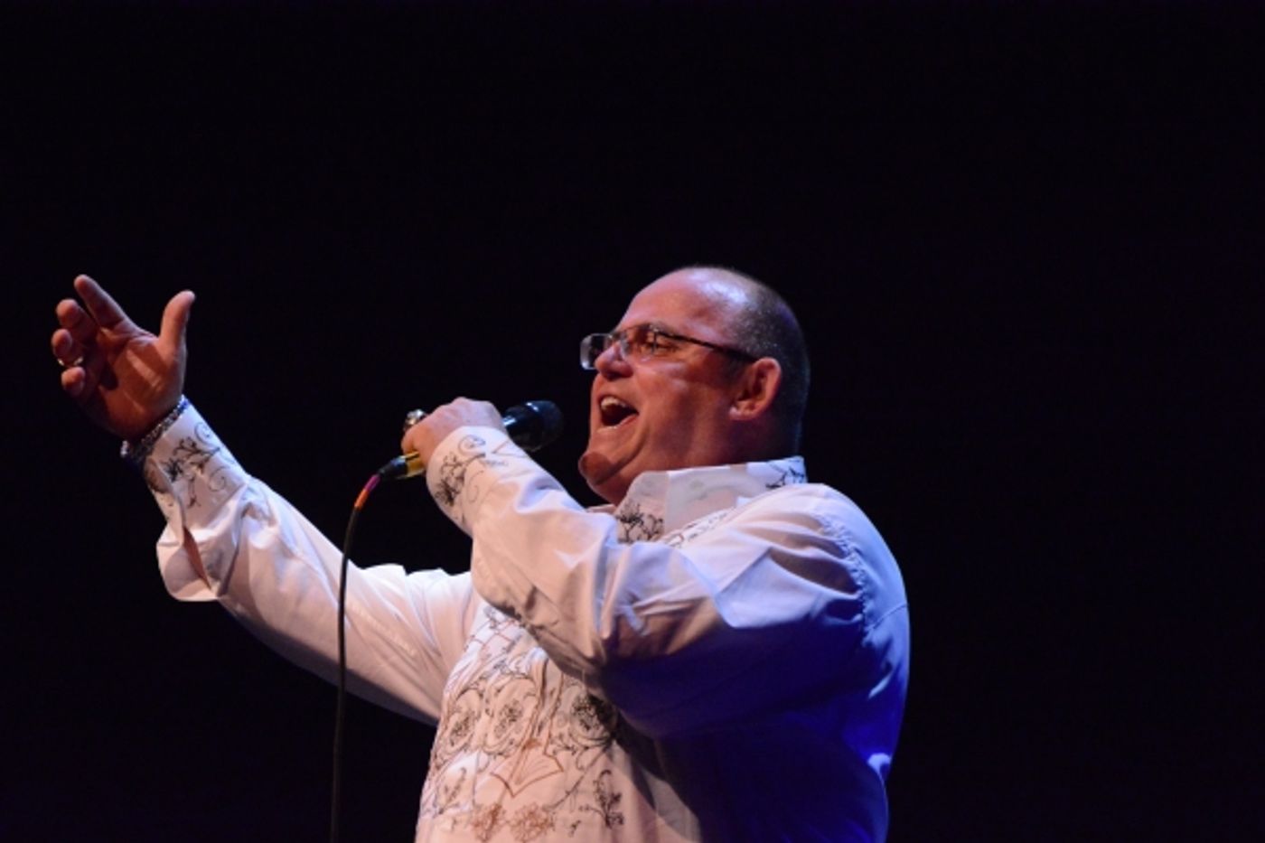 Photo Coverage: Ronan Tynan Plays Patchogue Theatre Gala  Image