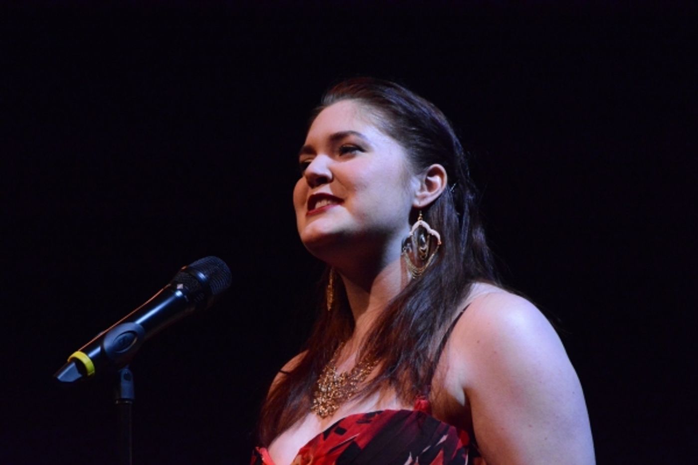 Photo Coverage: Ronan Tynan Plays Patchogue Theatre Gala Photo Coverage: Ronan Tynan Plays Patchogue Theatre Gala Image