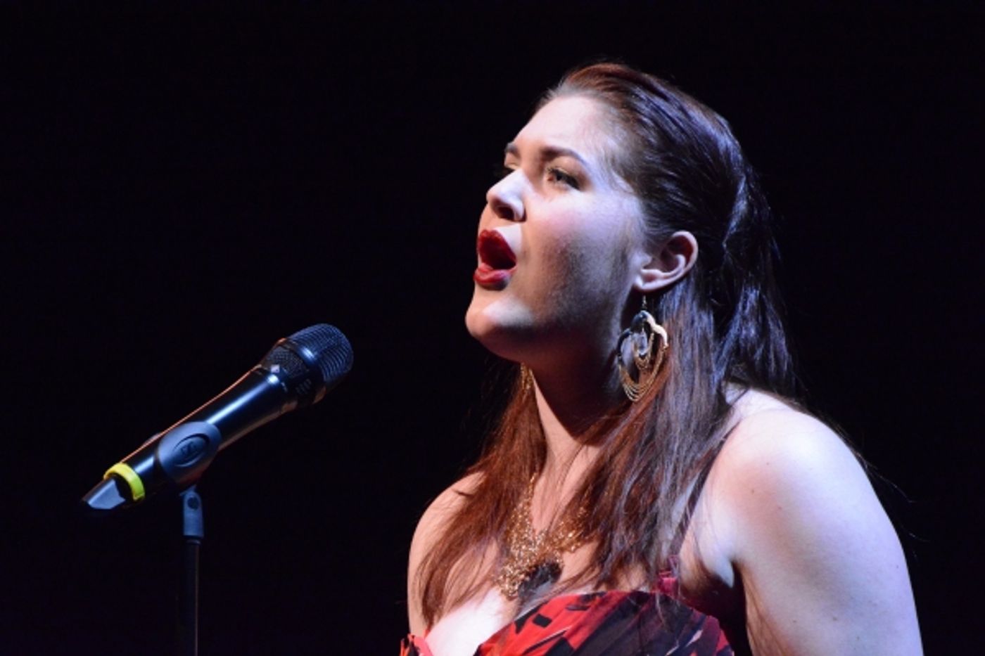 Photo Coverage: Ronan Tynan Plays Patchogue Theatre Gala Photo Coverage: Ronan Tynan Plays Patchogue Theatre Gala Image