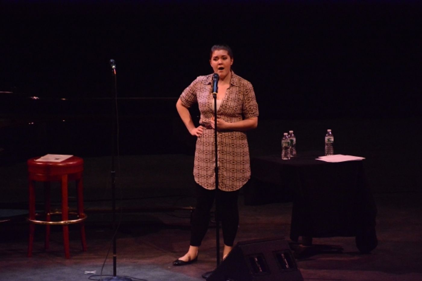 Photo Coverage: Sound Check and Arrivals for Ronan Tynan at The Patchouge Theatre Gala Photo Coverage: Sound Check and Arrivals for Ronan Tynan at The Patchouge Theatre Gala Image