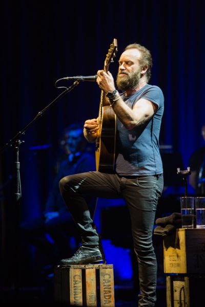Sting Photo