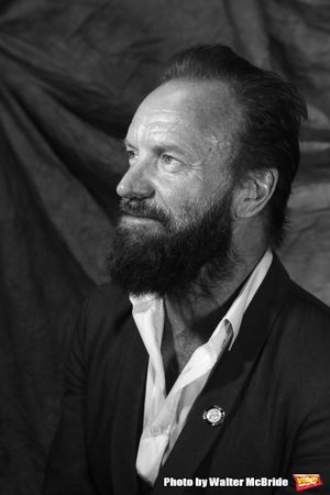 Sting  Photo