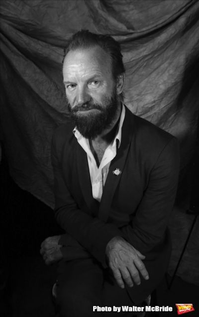 Sting  Photo