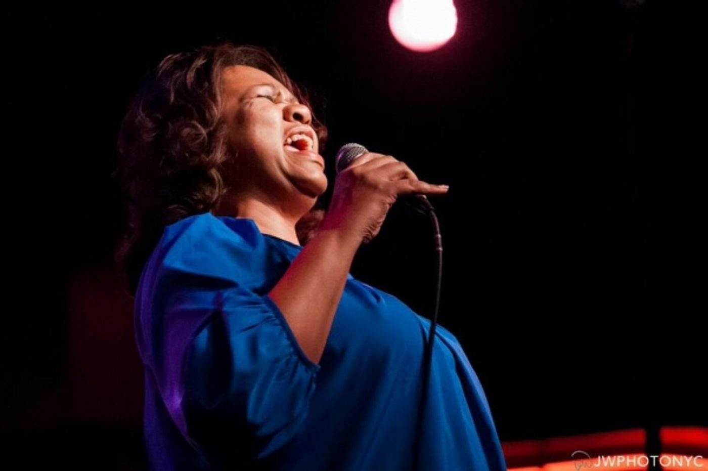 Photo Flash: Lillias White, Cady Huffman and More Celebrate Andy Propst's Book 'YOU FASCINATE ME SO' at Birdland  Image