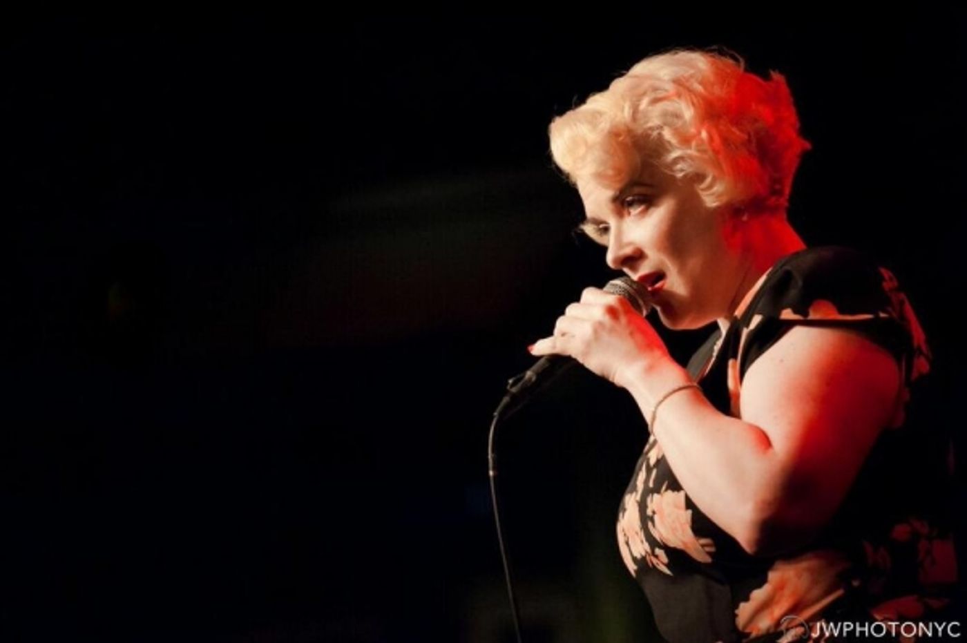 Photo Flash: Lillias White, Cady Huffman and More Celebrate Andy Propst's Book 'YOU FASCINATE ME SO' at Birdland  Image