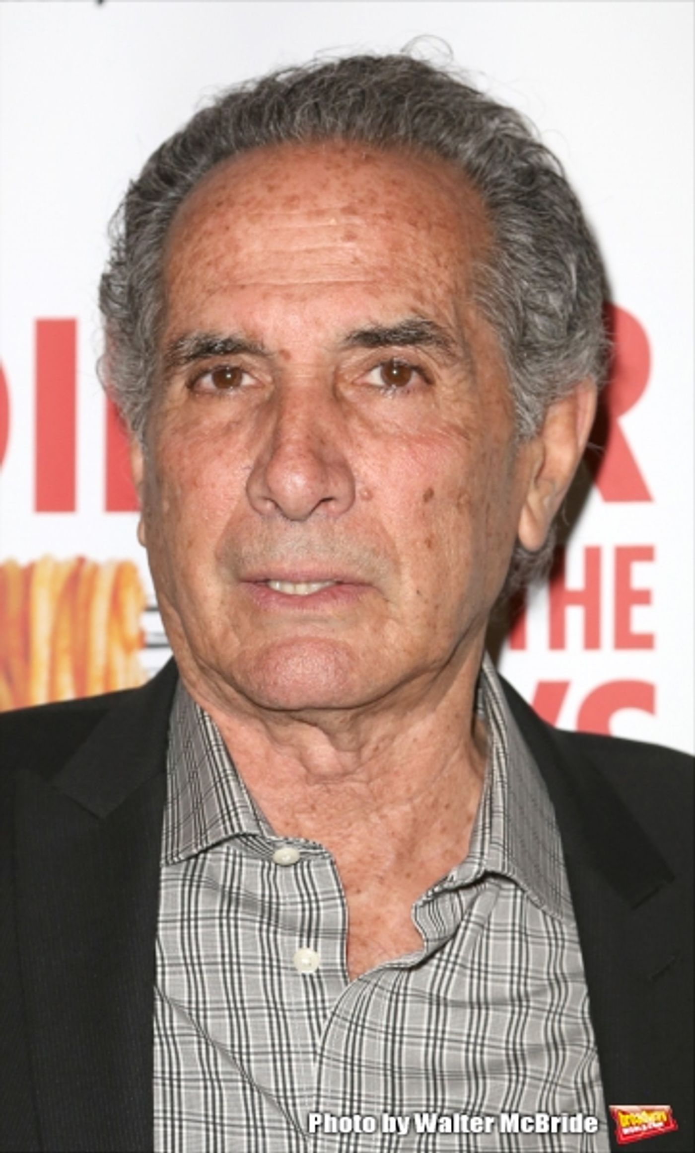 Photo Coverage: On the Red Carpet for Opening Night of DINNER WITH THE BOYS  Image