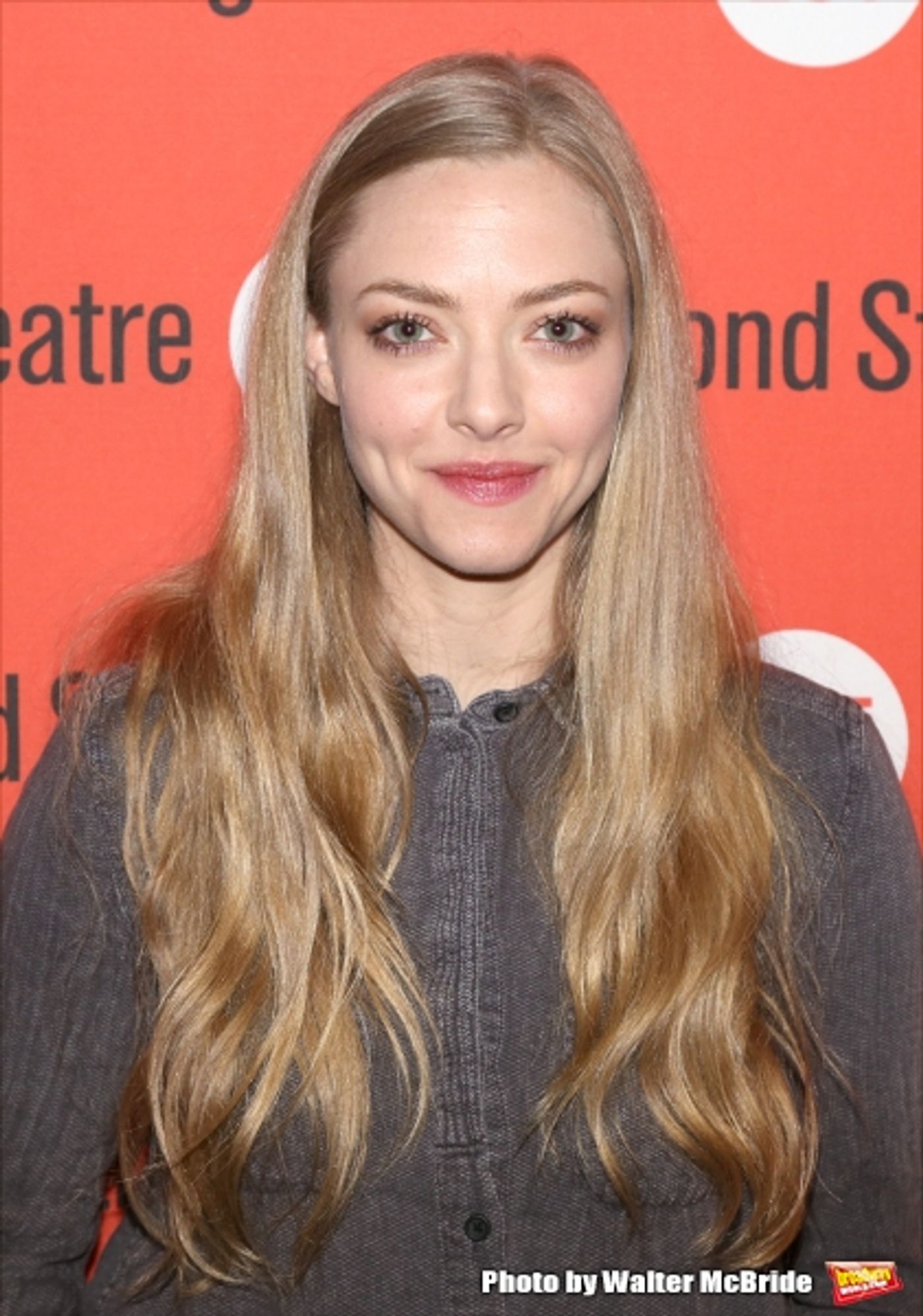 Photo Coverage: Meet the Cast of THE WAY WE GET BY - Amanda Seyfried, Thomas Sadoski and More  Image