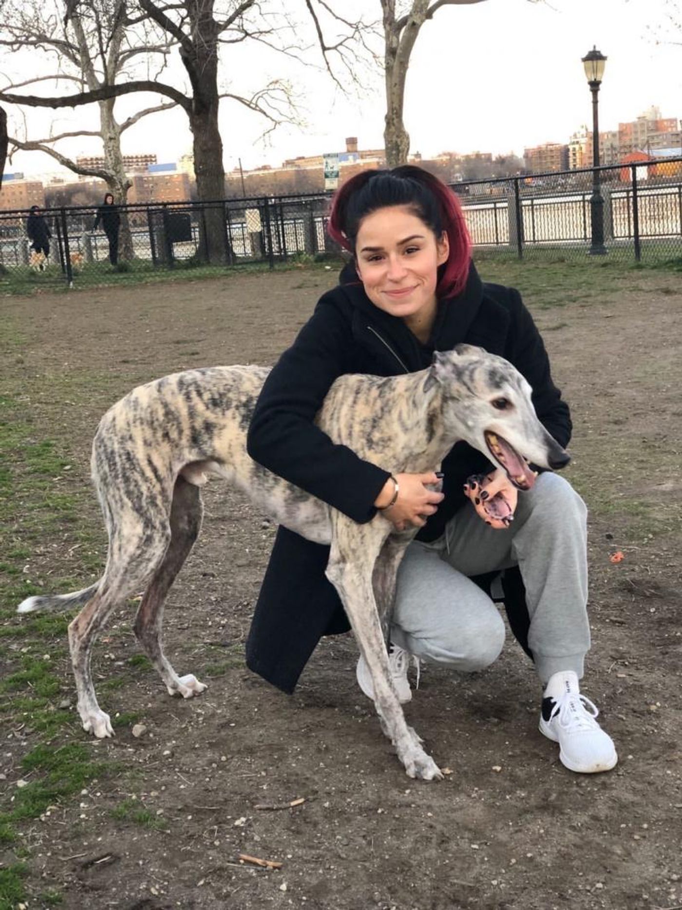 What are Broadway Performers and Their Pets Doing with Their Time?  Image