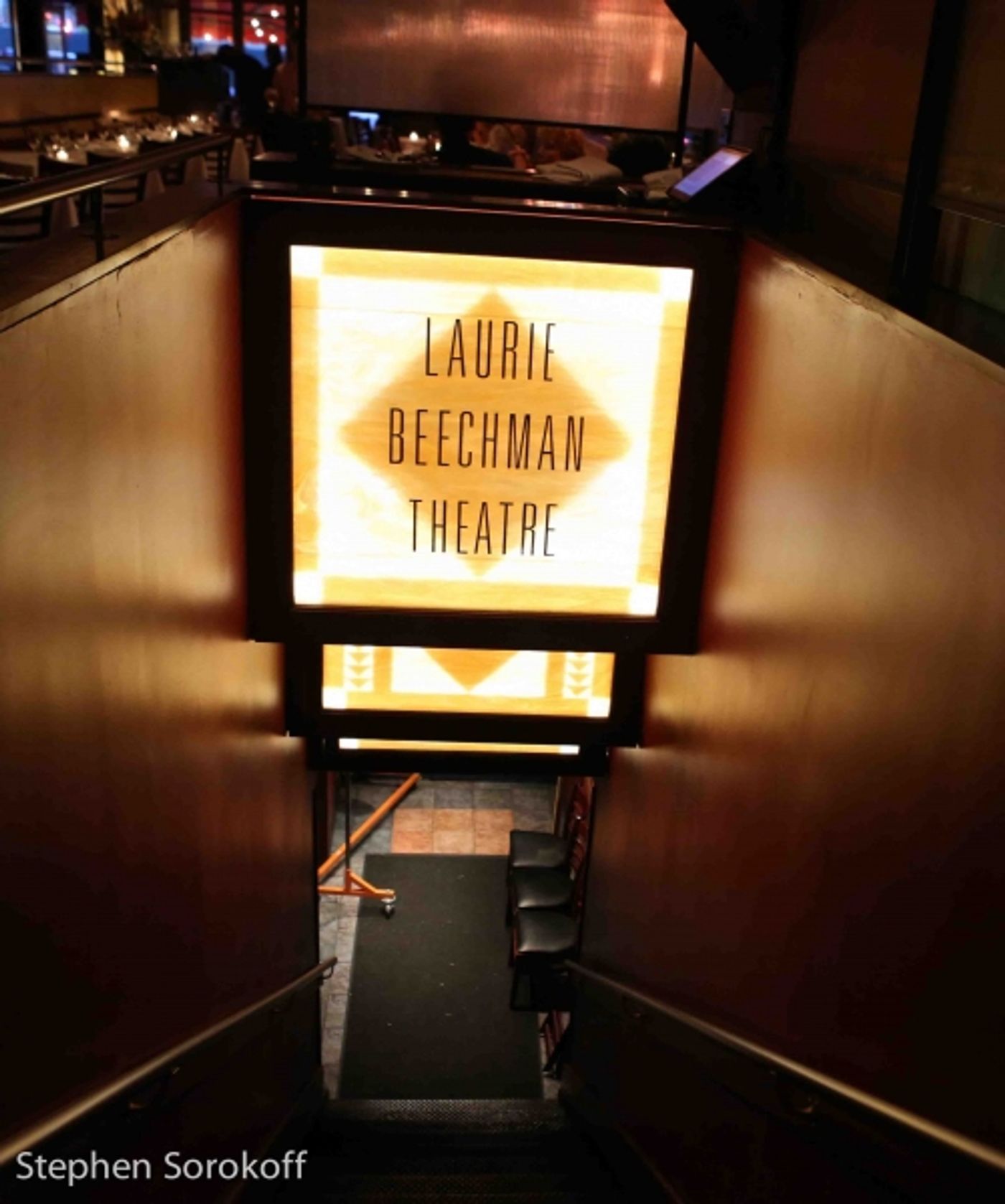 Photo Coverage: Carolyn Montgomery-Forant Brings 'Visible Phoenix' to The Laurie Beechman Theatre  Image