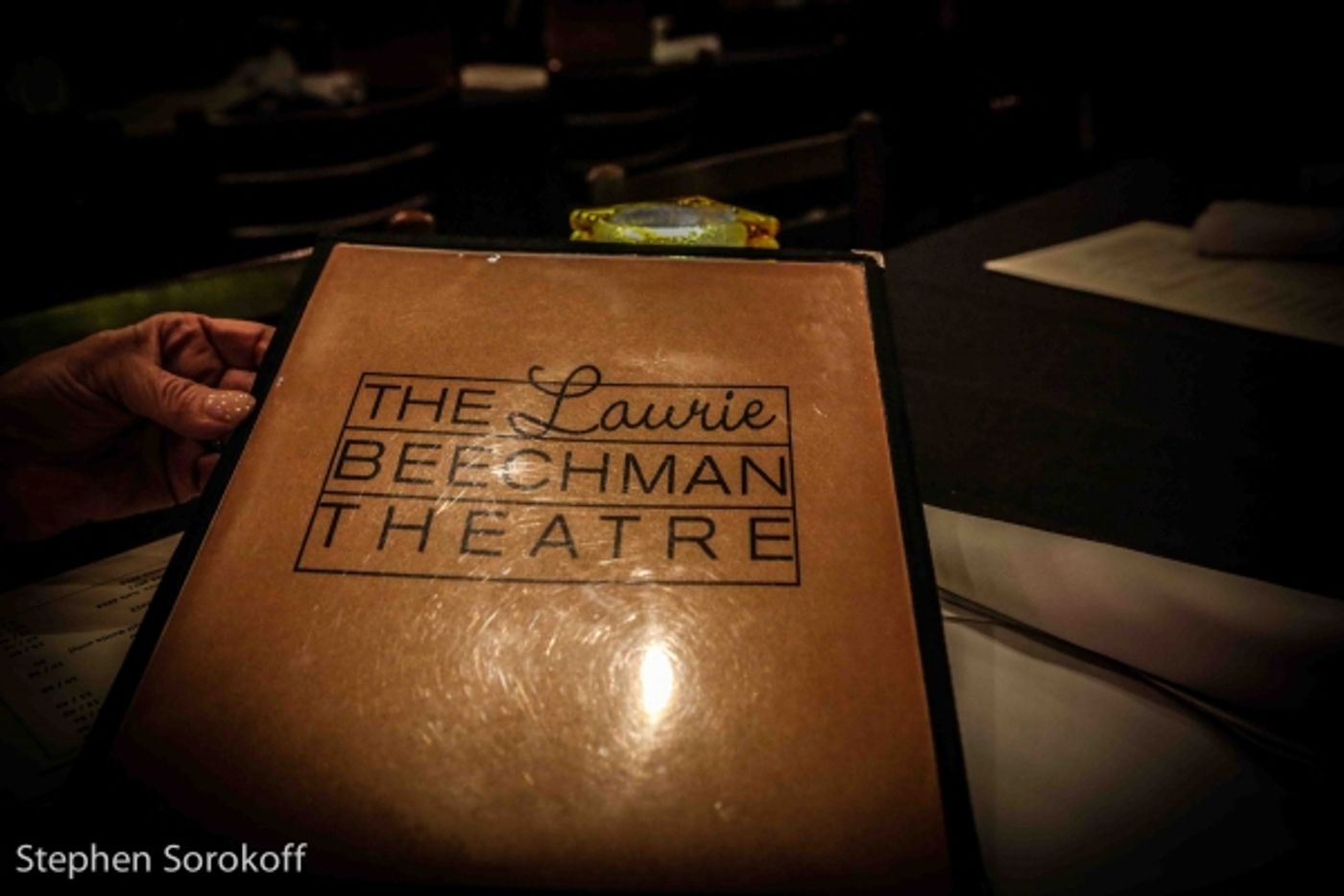 Photo Coverage: Carolyn Montgomery-Forant Brings 'Visible Phoenix' to The Laurie Beechman Theatre  Image