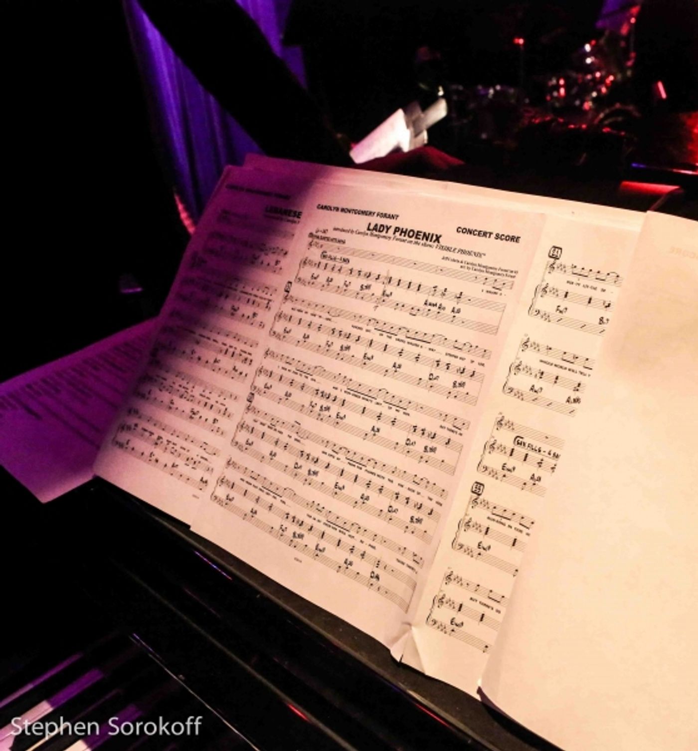 Photo Coverage: Carolyn Montgomery-Forant Brings 'Visible Phoenix' to The Laurie Beechman Theatre  Image