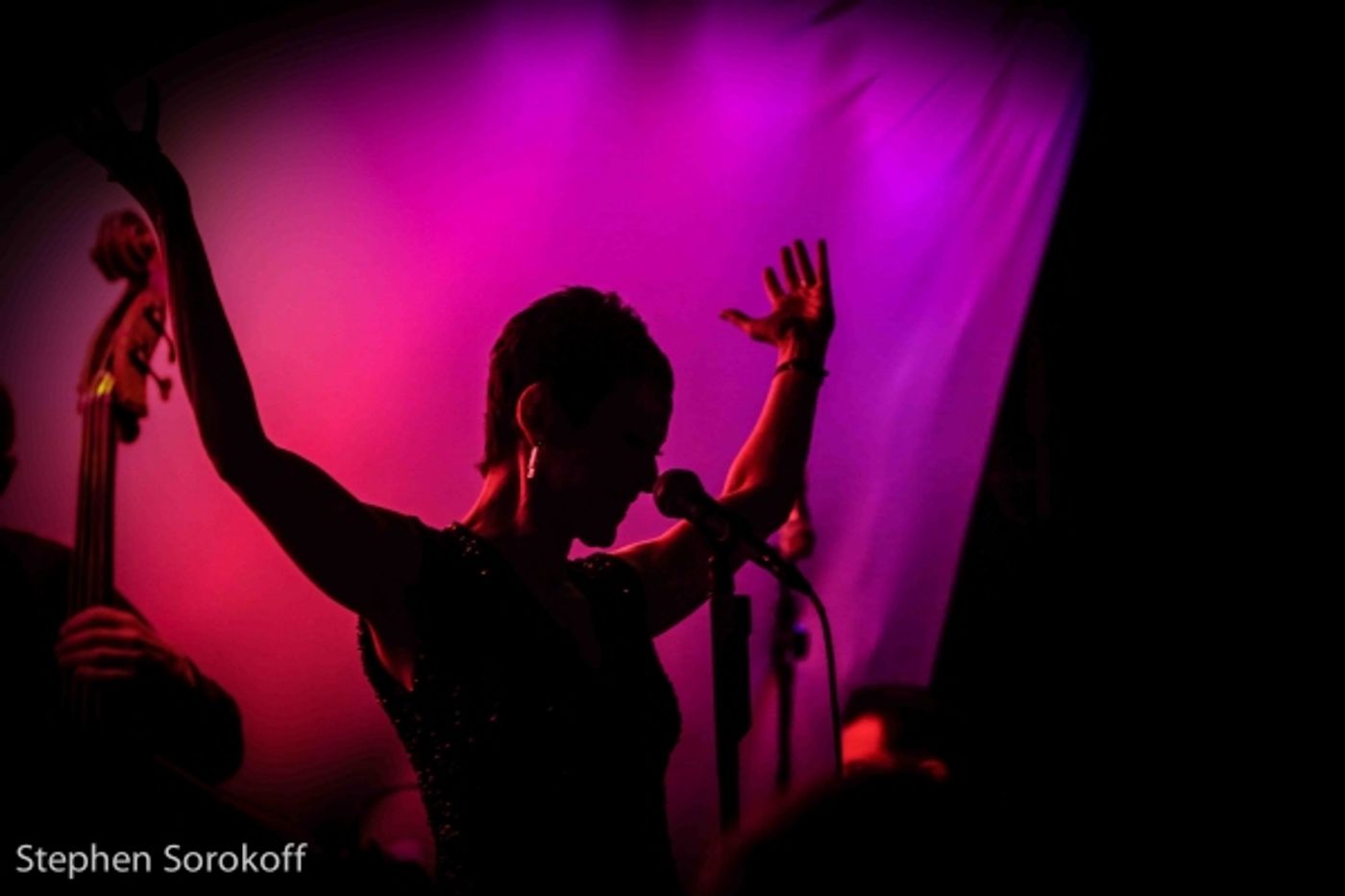 Photo Coverage: Giselle Wolf Brings LOVE: A CELEBRATION to the Metropolitan Room  Image