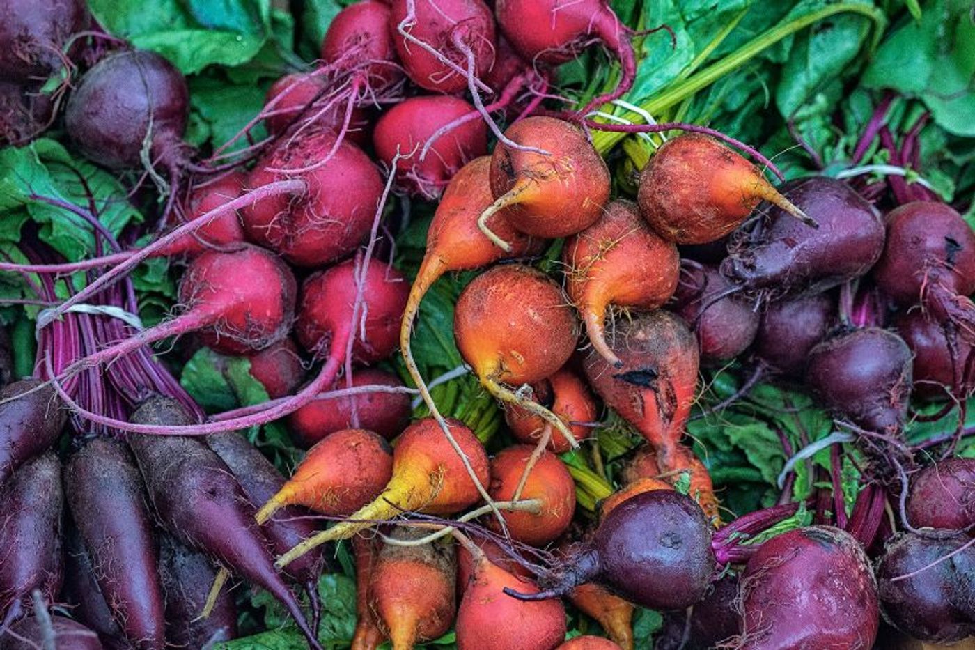 Photo Flash: Sneak Peek at Jack Goodman's Photography on View at Jackson Gallery  Image