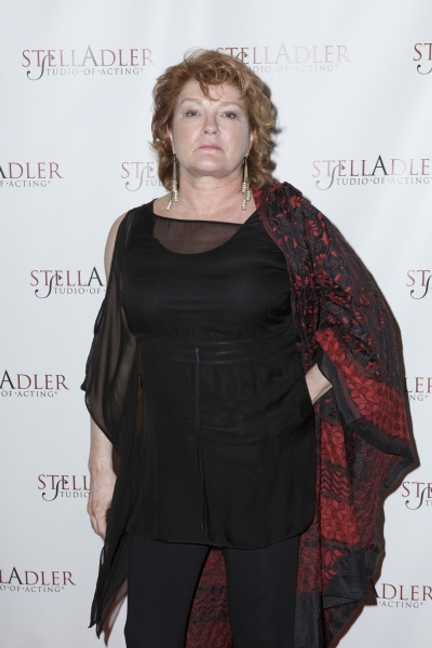 Photo Coverage: 10th Annual Stella by Starlight Gala Honors  Ethan Hawke, Kate Mulgrew & More!  Image