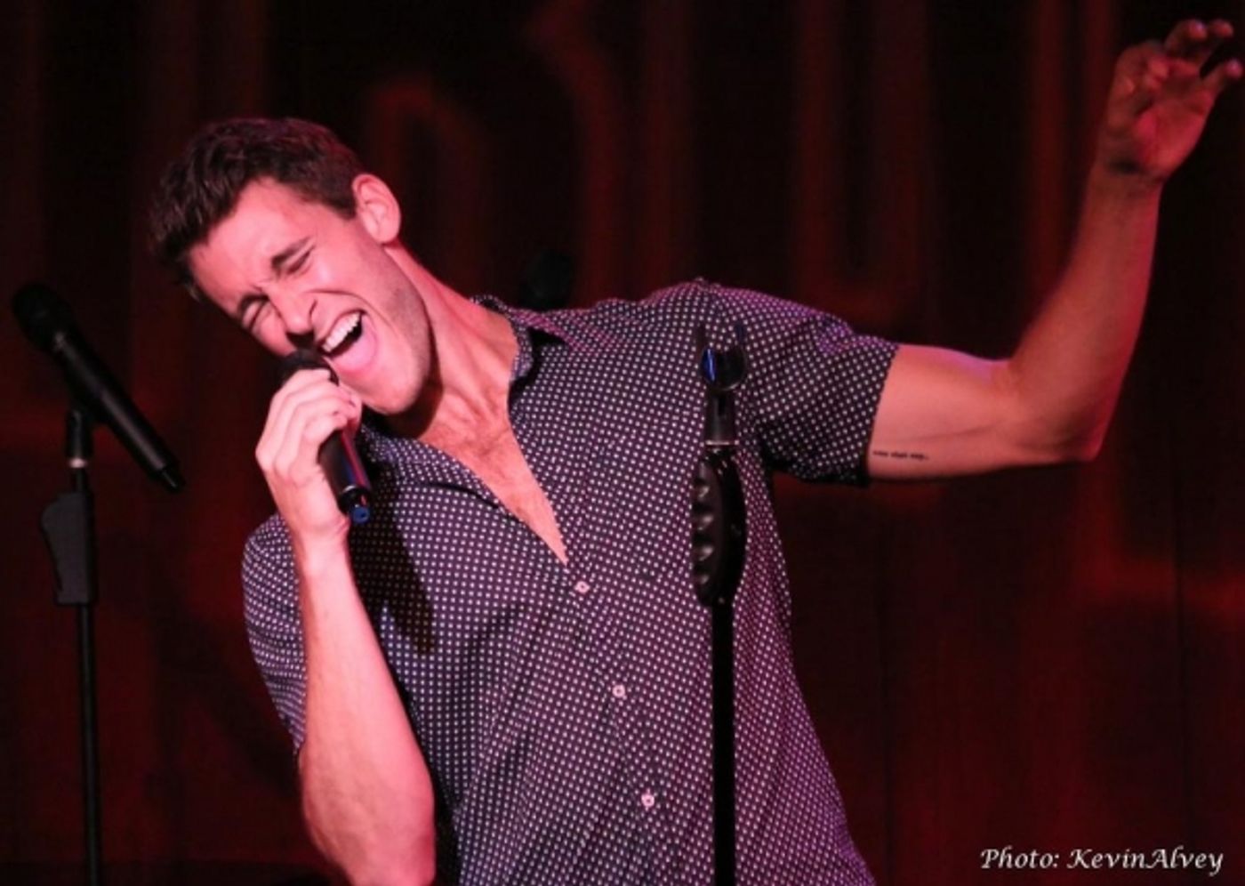 Photo Flash: Apollo Link Transforms Pop Favorites at Birdland  Image