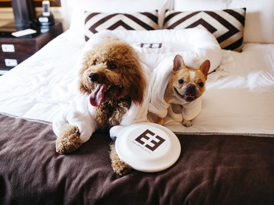 Photo Flash: Sutton Foster's Pup and More Featured for BarkBox at The Empire Hotel  Image