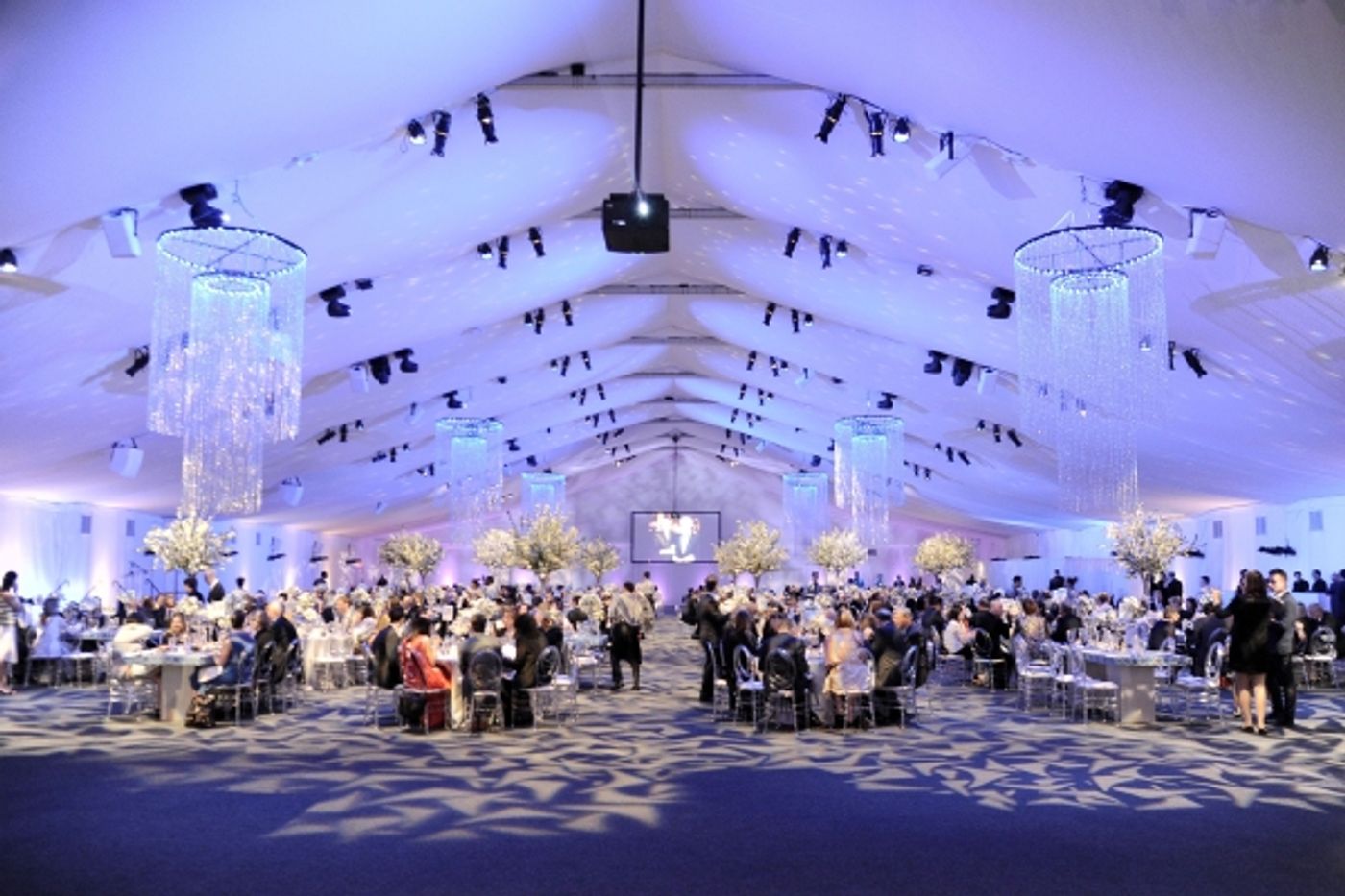 Photo Flash: Inside Lincoln Center's Spring Gala with Tommy Tune & More  Image