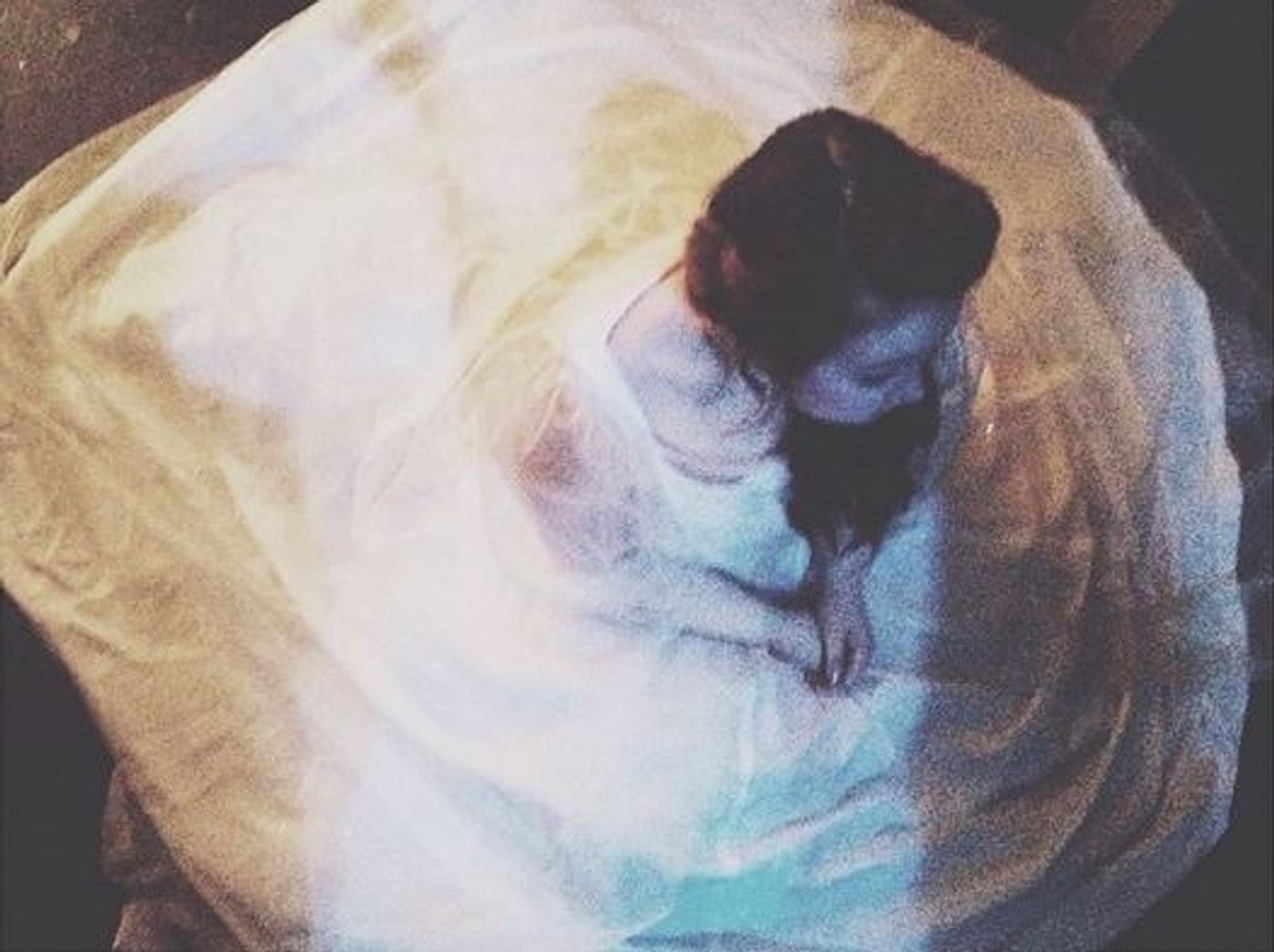 Photo Flash: Saturday Intermission Pics, 4/16 Pt 2 -  AN AMERICAN IN PARIS, MAMMA MIA!, and More!  Image