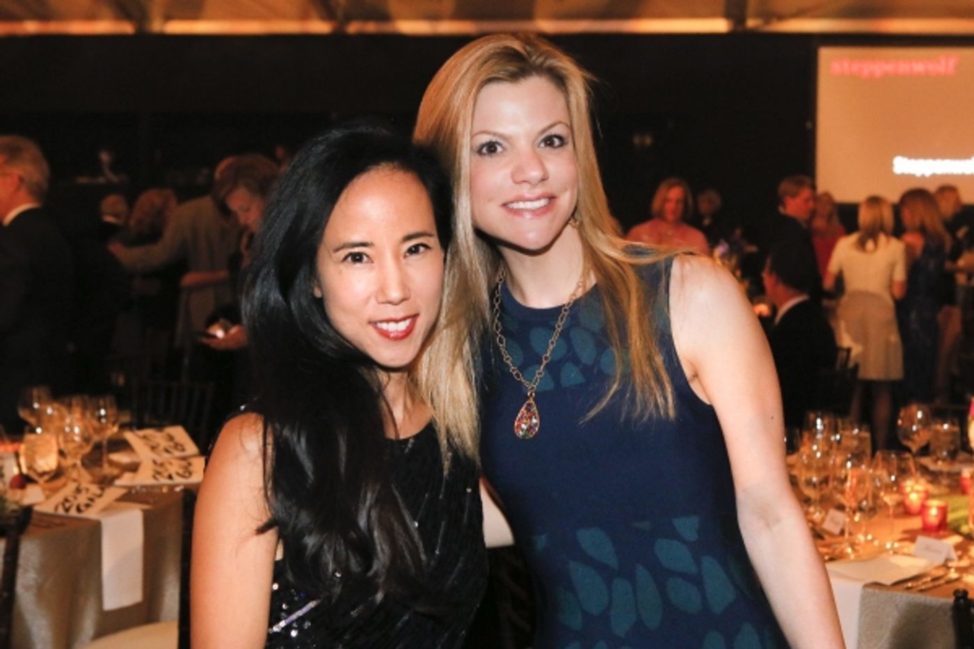 Photo Flash: THE HERD, Gary Sinise and More Help Steppenwolf's Gala 2015 Raise $1.2 Million  Image