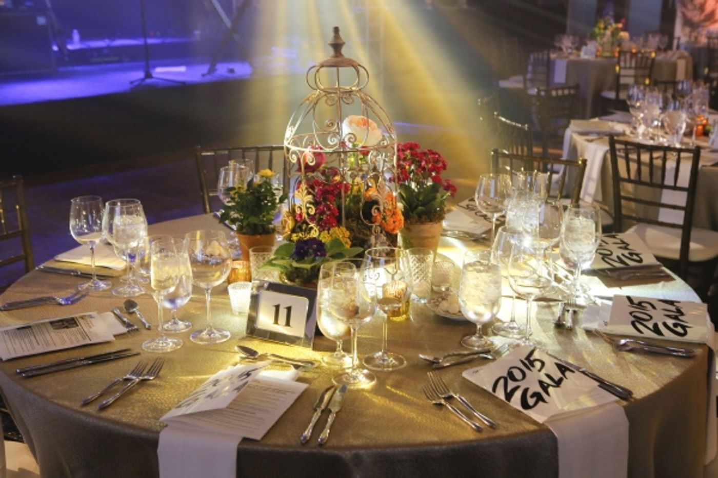 Photo Flash: THE HERD, Gary Sinise and More Help Steppenwolf's Gala 2015 Raise $1.2 Million  Image