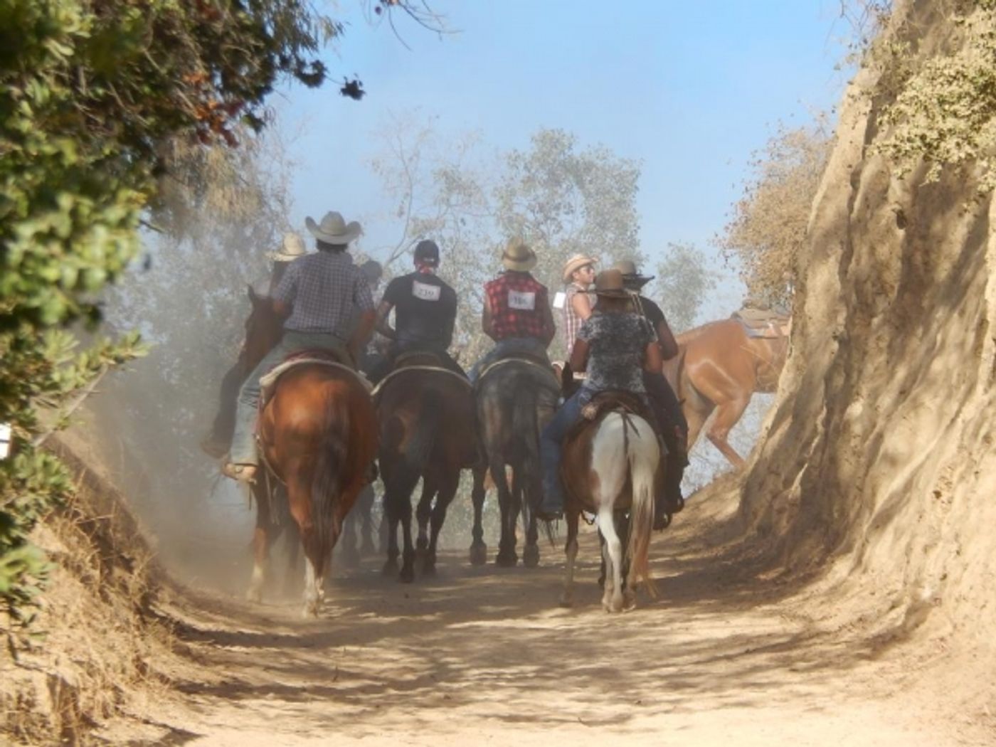 Photo Flash: Saddle Up LA Hosts Kick-Off Party at Oil Can Harry's Today Photo Flash: Saddle Up LA Hosts Kick-Off Party at Oil Can Harry's Today Image