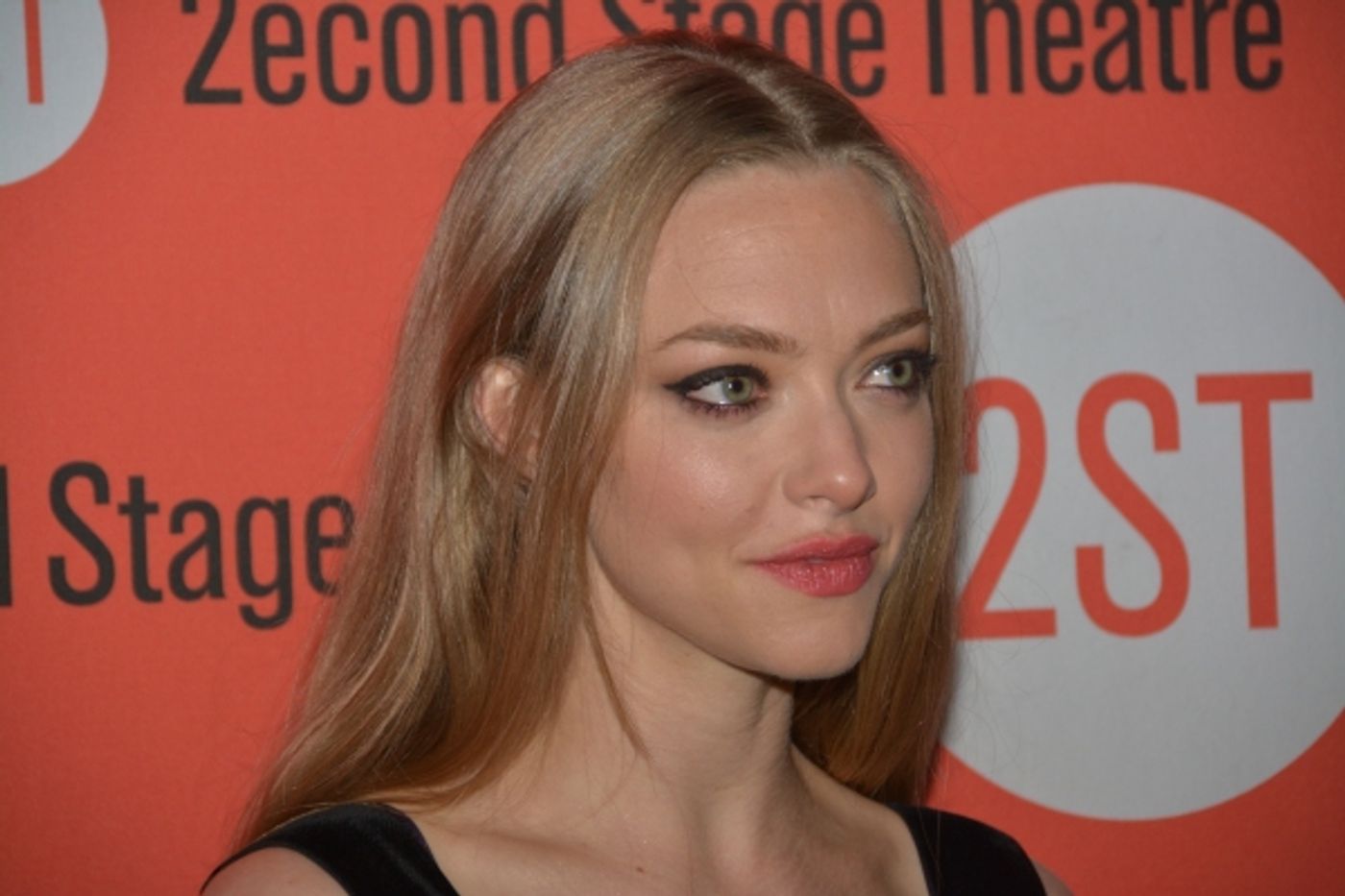 Photo Coverage: Amanda Seyfried & Thomas Sadoski Celebrate Opening Night of THE WAY WE GET BY  Image