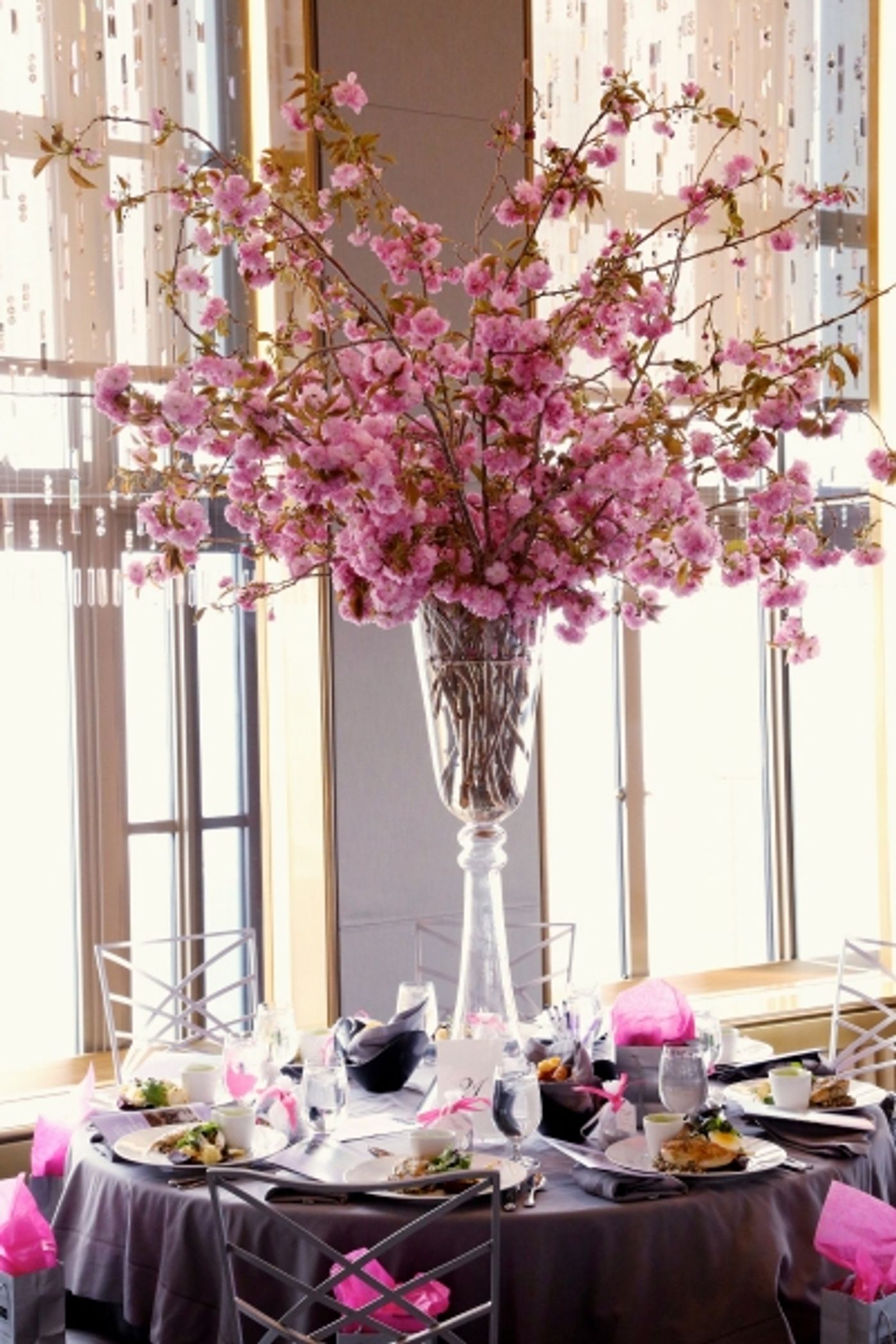 Photo Flash: Candice Bergen, Renee Fleming Honored by Einstein College of Medicine  Image