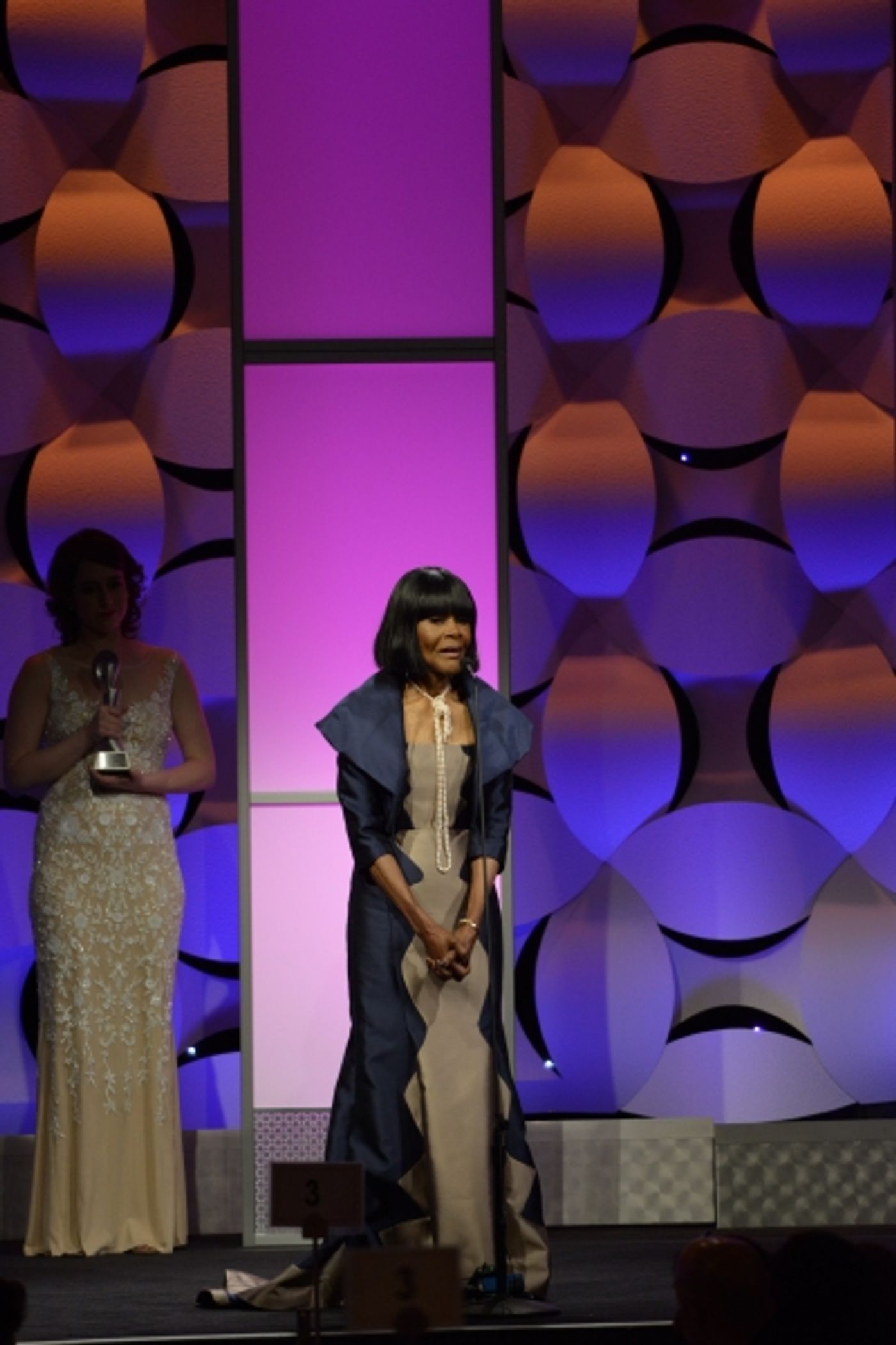 Photo Flash: Cicely Tyson, Maggie Gyllenhaal, Tracee Ellis Ross and More at Alliance for Women in Media's 2015 Gracies Awards  Image