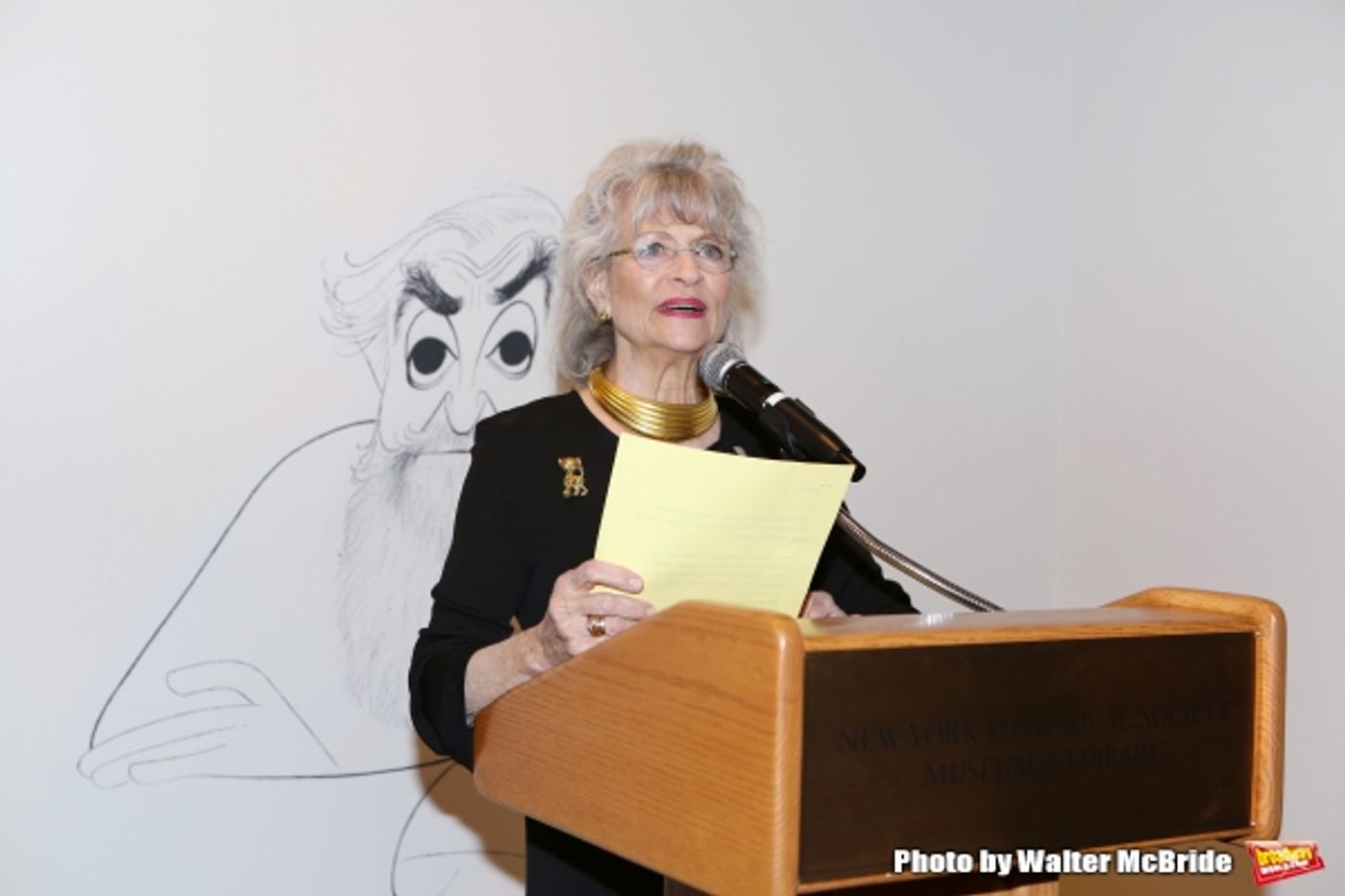 Photo Coverage: New-York Historical Society Celebrates Launch of THE HIRSCHFELD CENTURY  Image