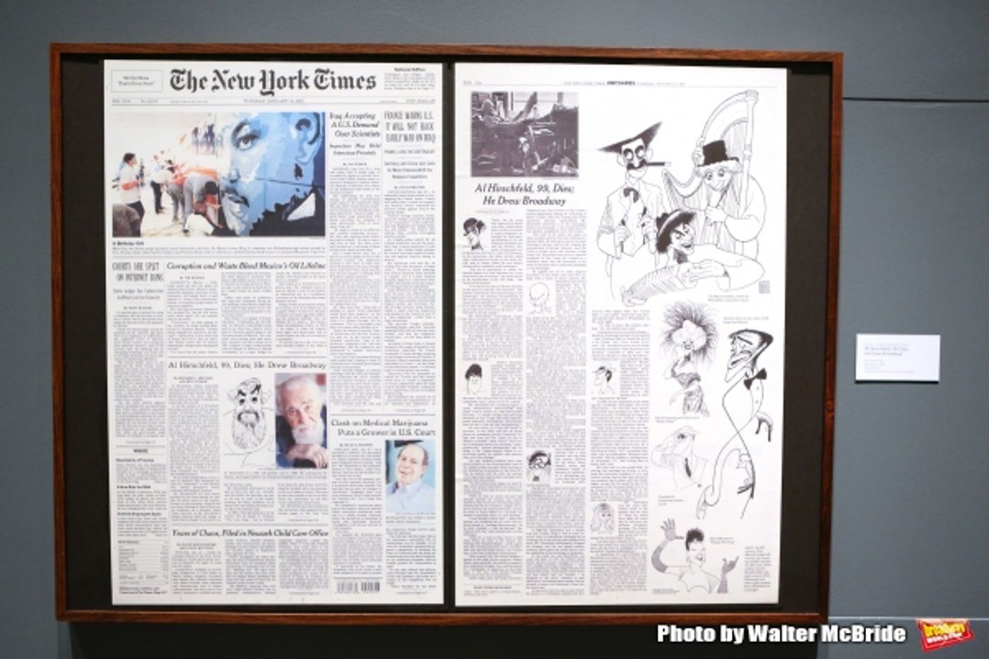Photo Coverage: New York Celebrates a Legend- Go Inside the Launch of THE HIRSCHFELD CENTURY Exhibit  Image